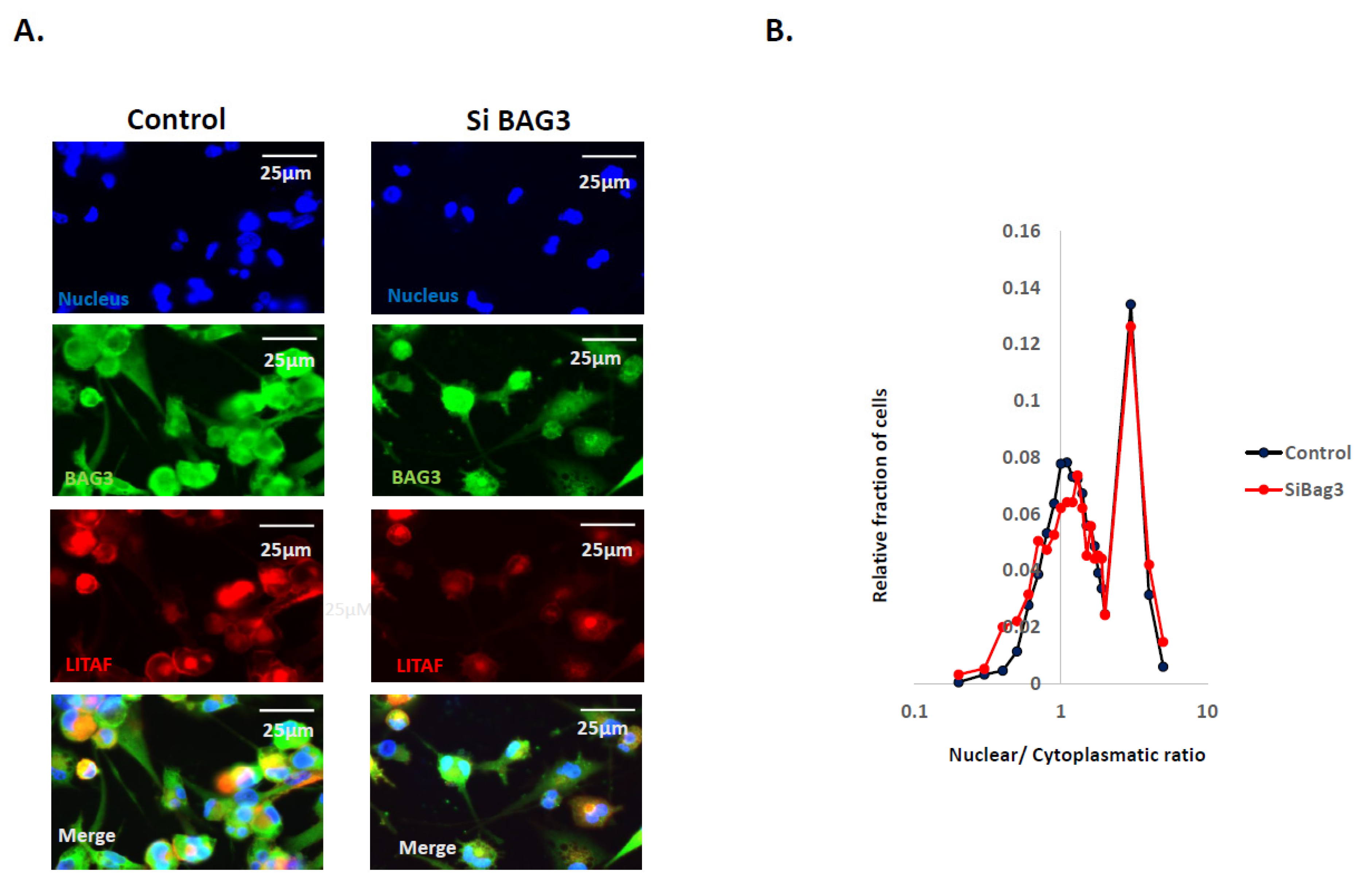 Cancers 14 04168 g002