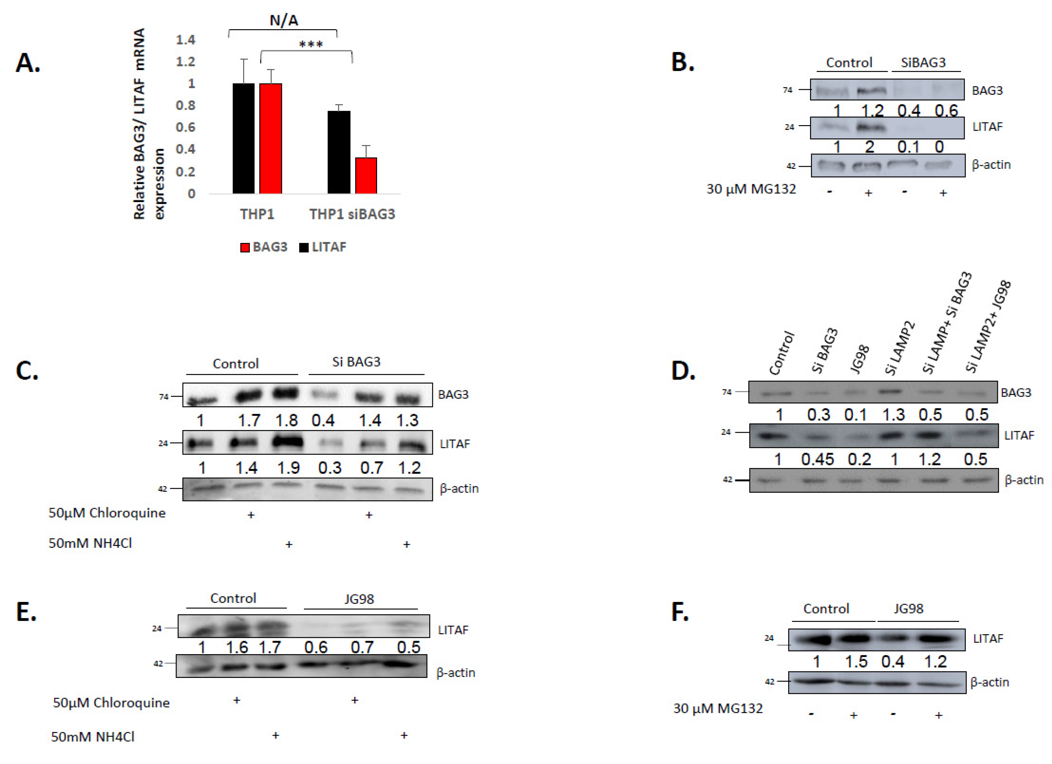 Cancers 14 04168 g003