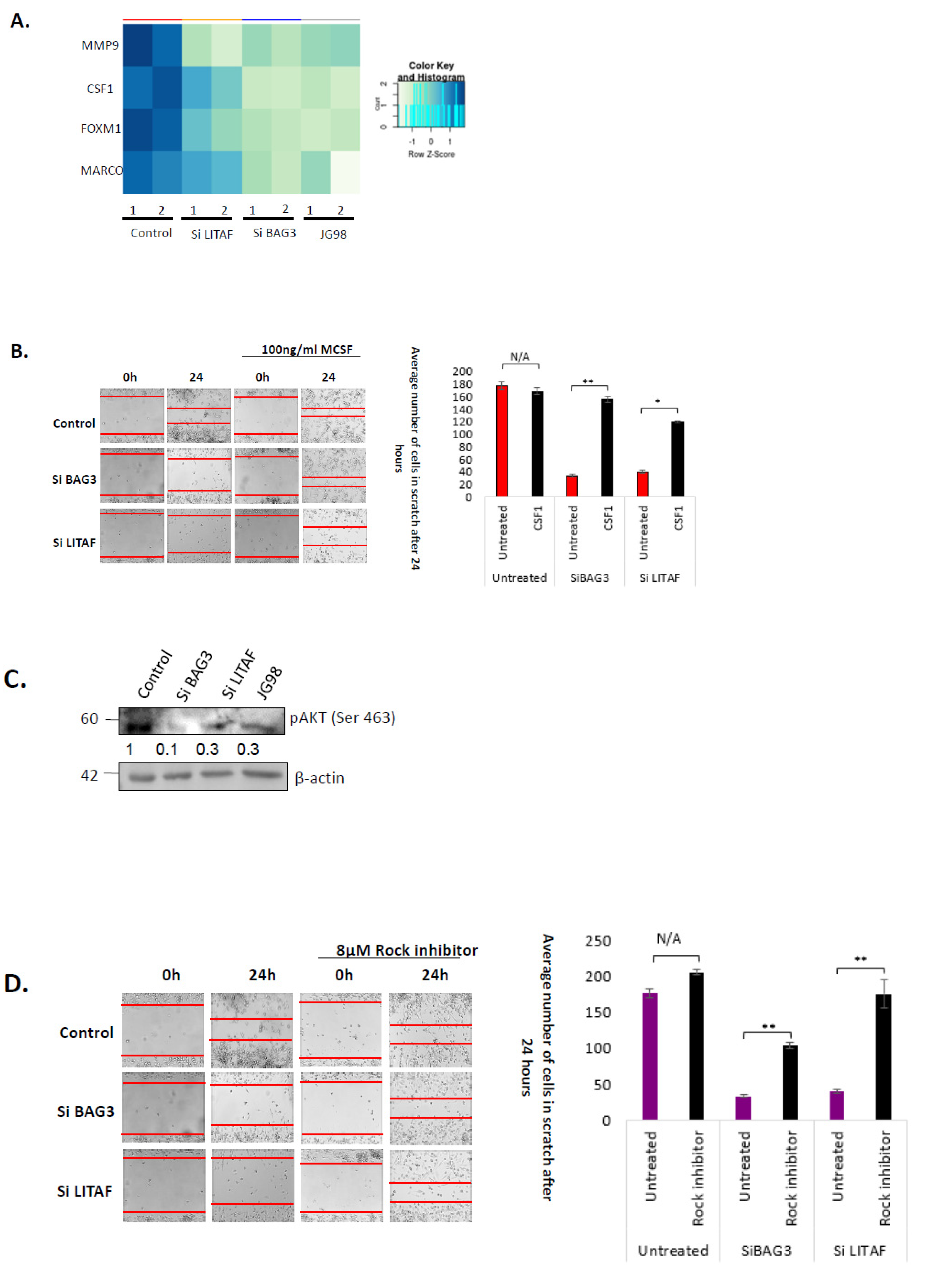 Cancers 14 04168 g005