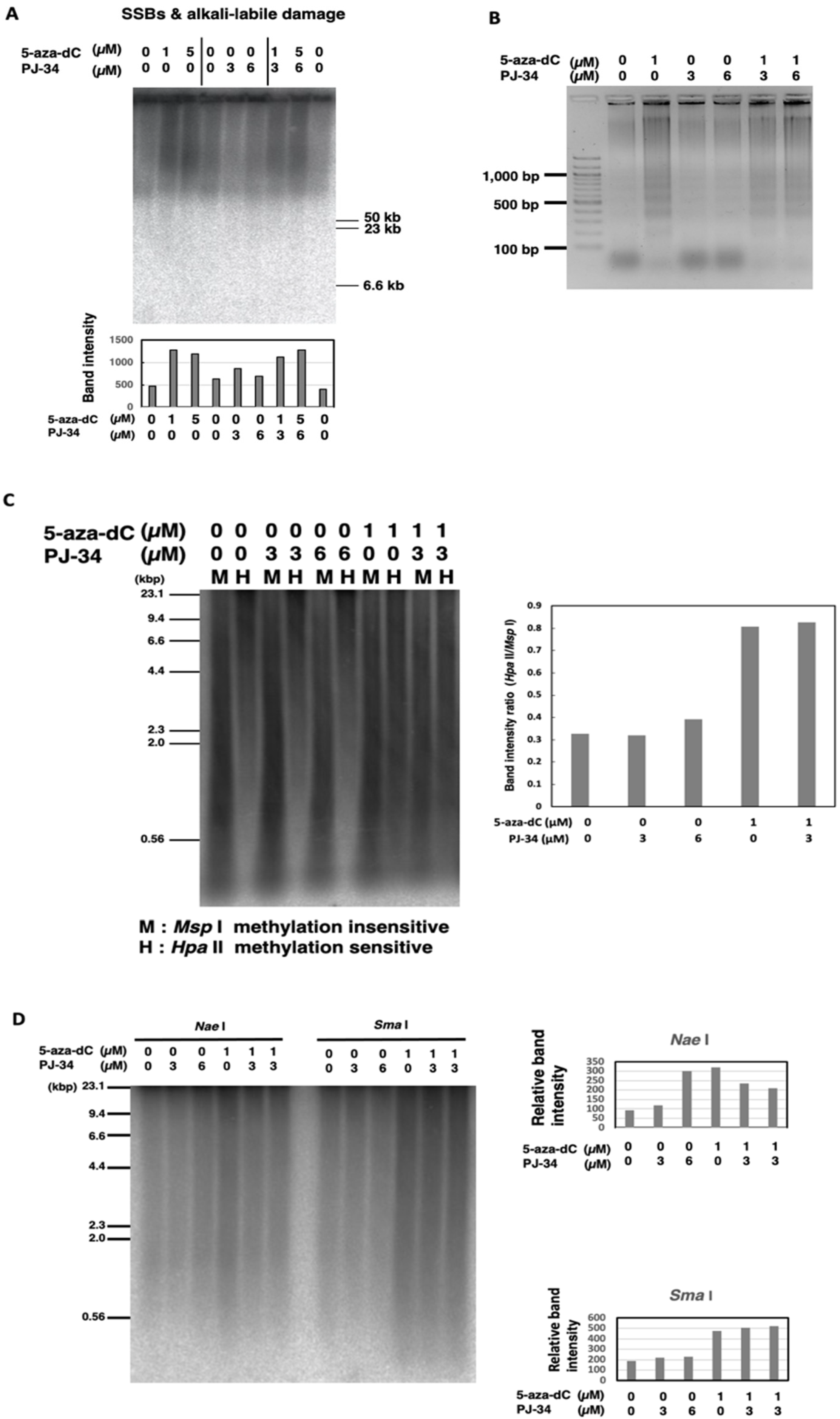 Cancers 14 04171 g003