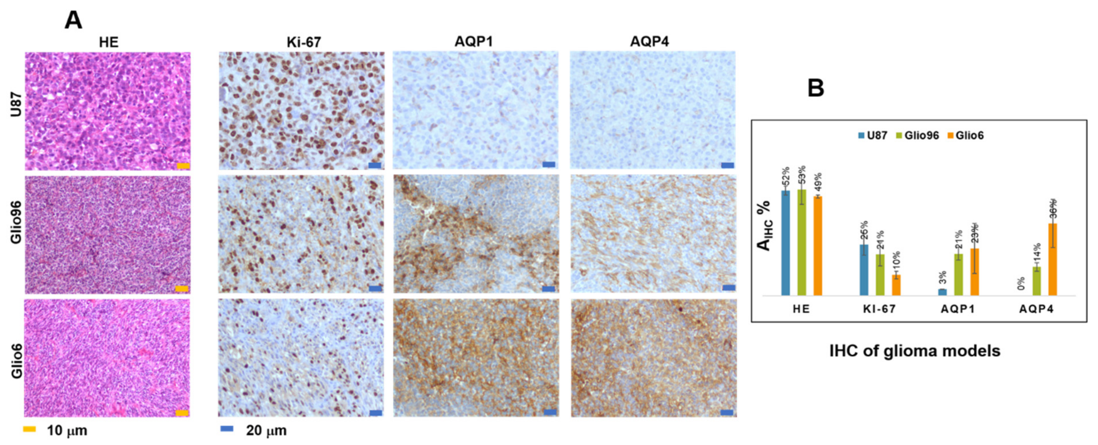 Cancers 14 04180 g003