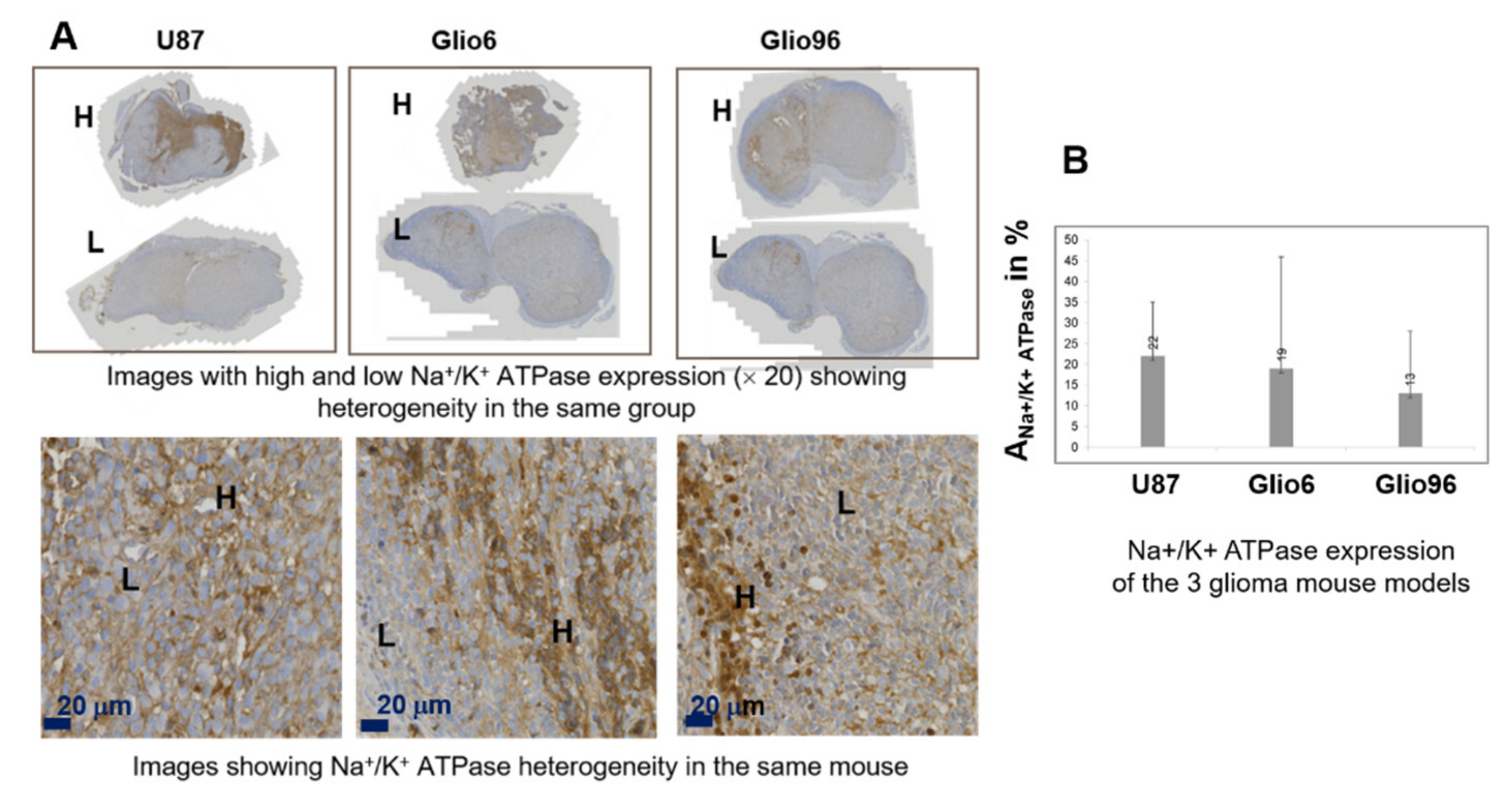 Cancers 14 04180 g004