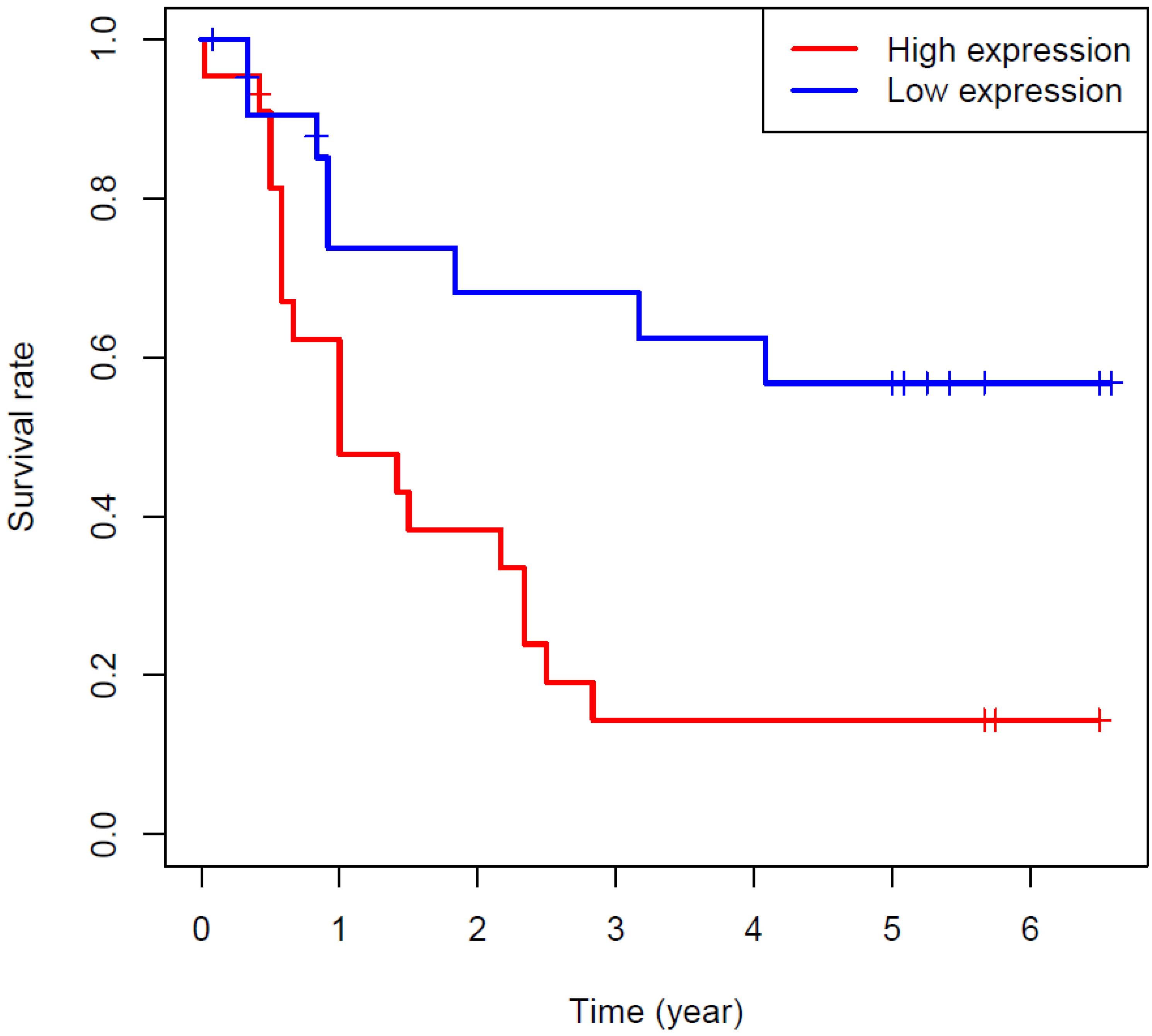 Cancers 14 04183 g004