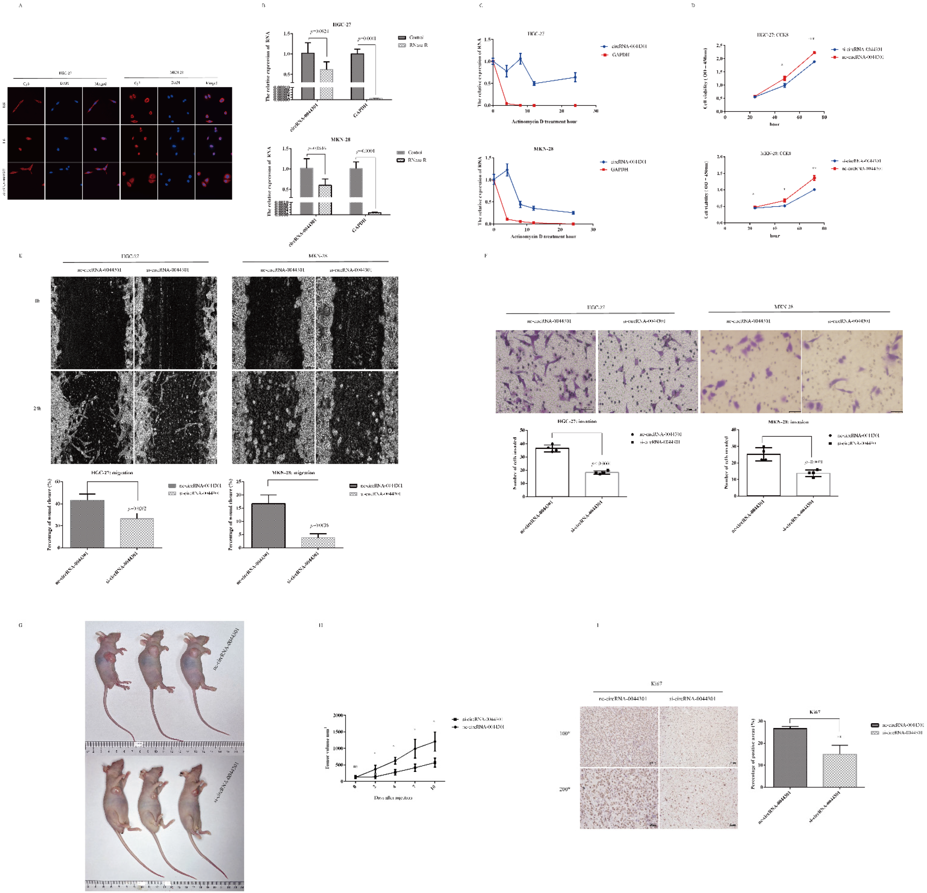Cancers 14 04183 g005