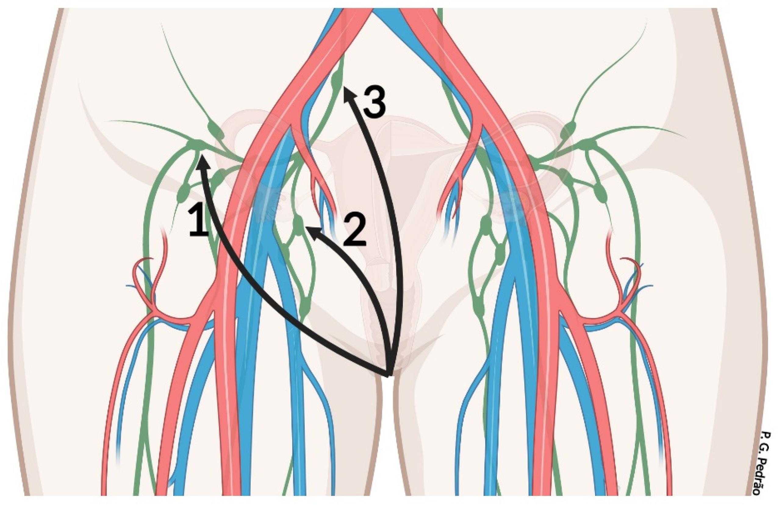 Cancers 14 04184 g002