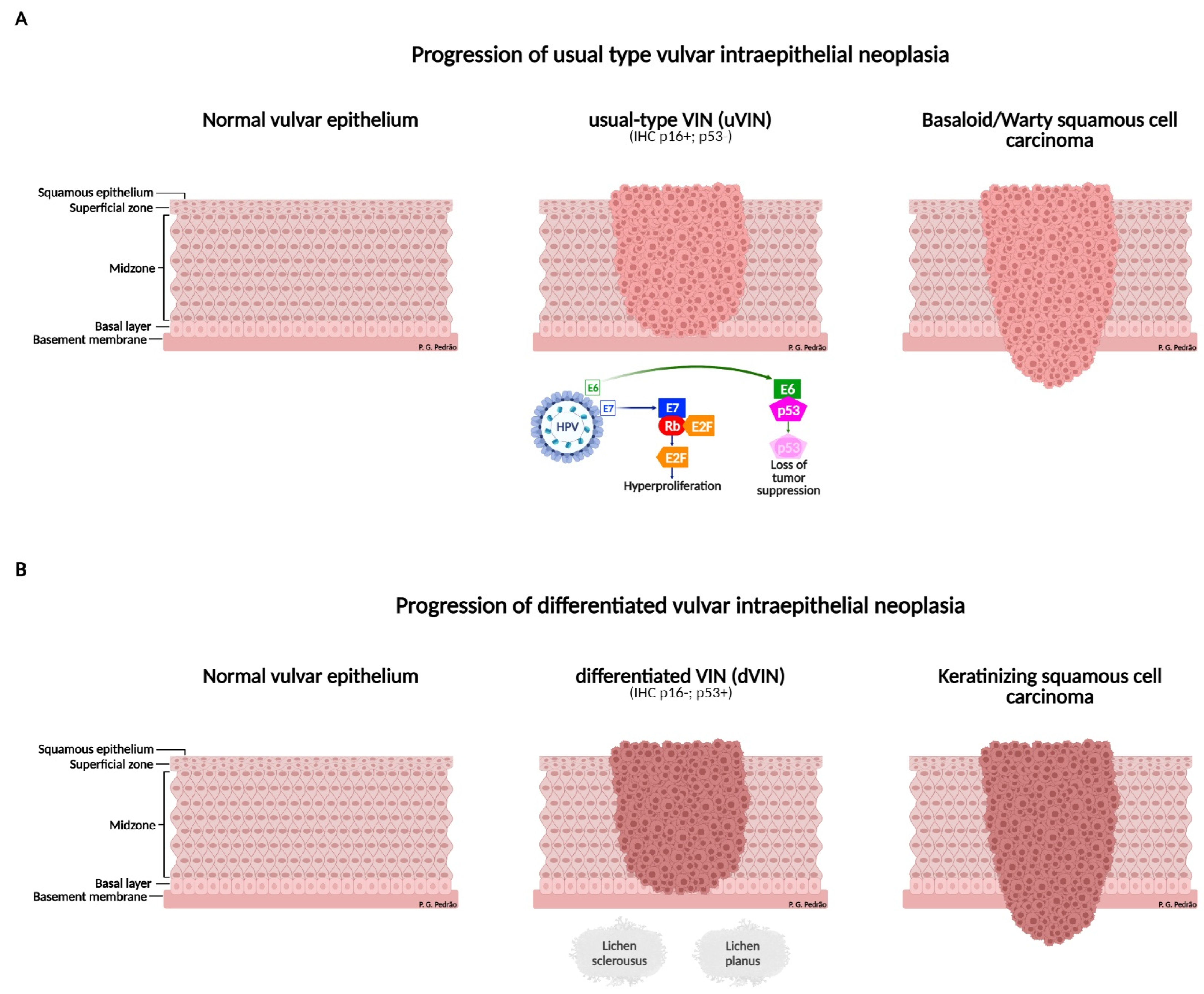 Cancers 14 04184 g003