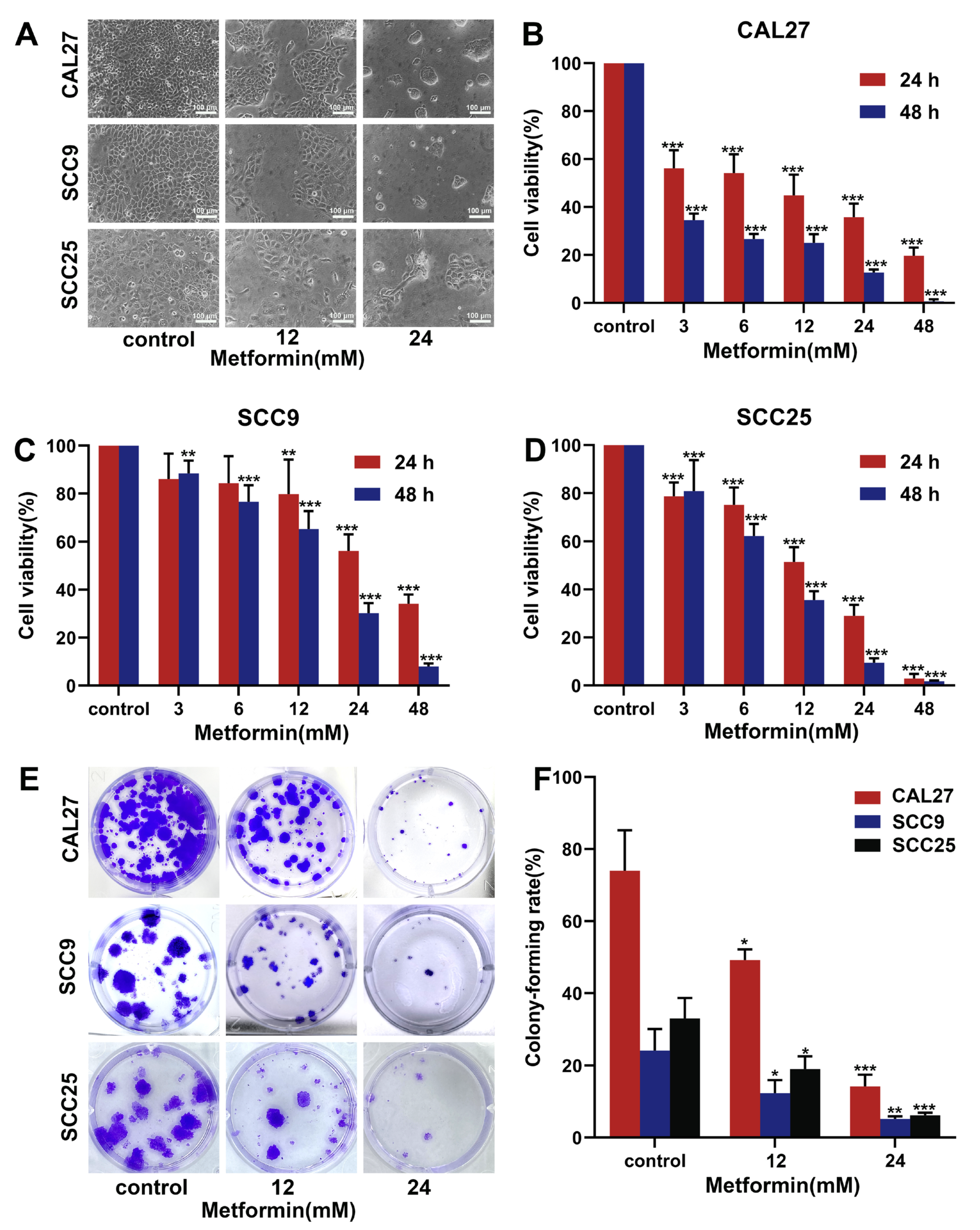 Cancers 14 04185 g001