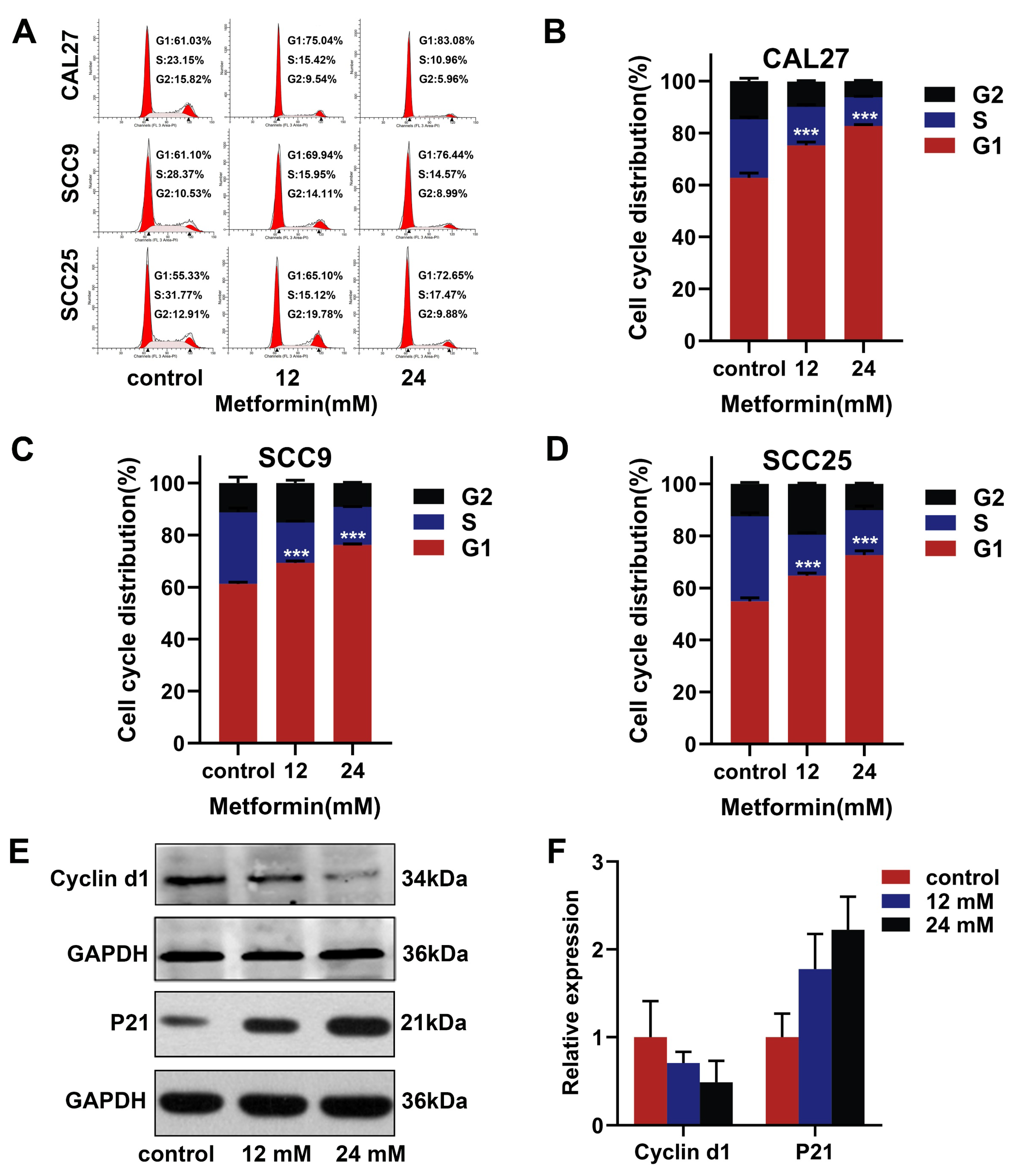 Cancers 14 04185 g003