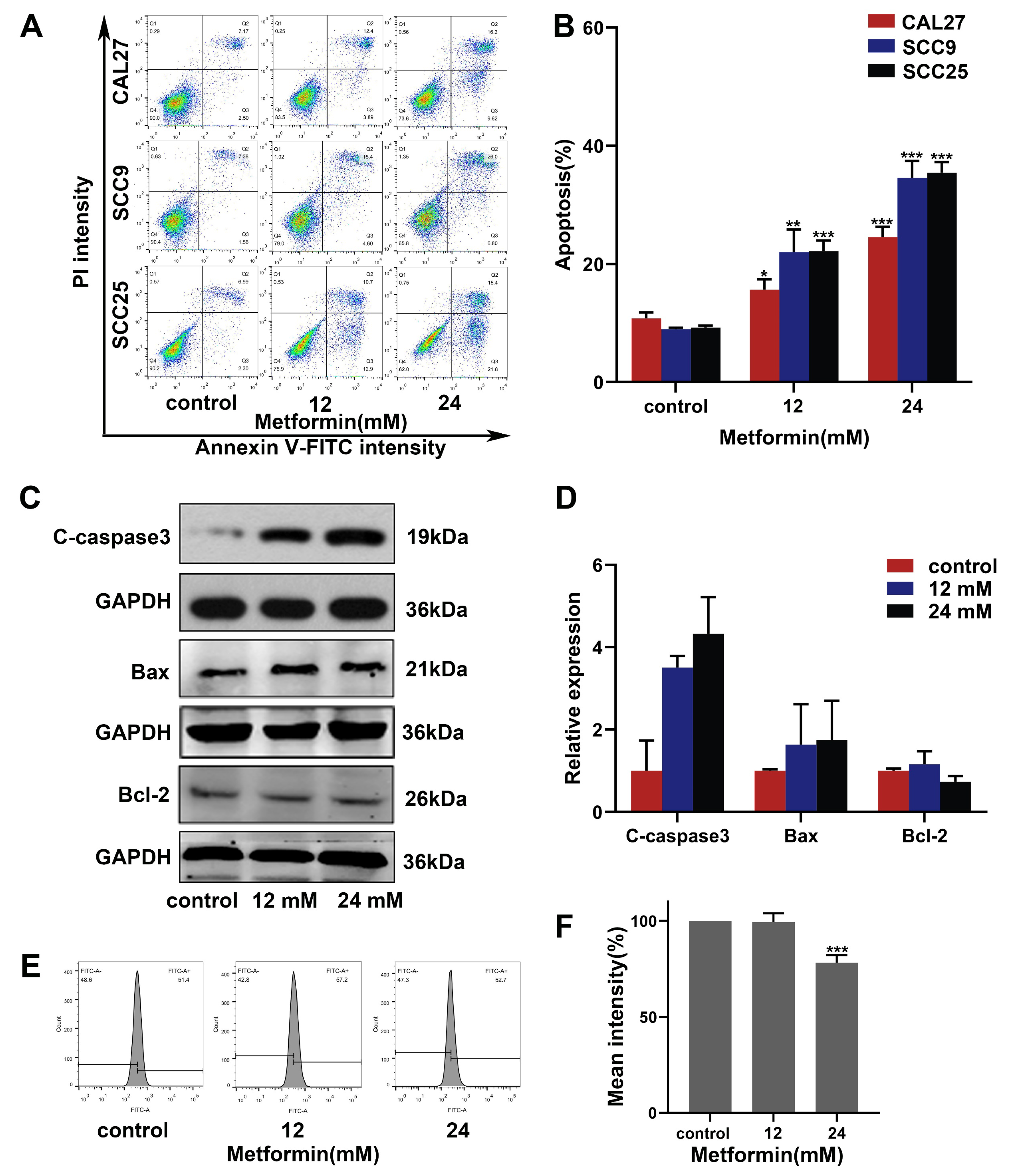 Cancers 14 04185 g004