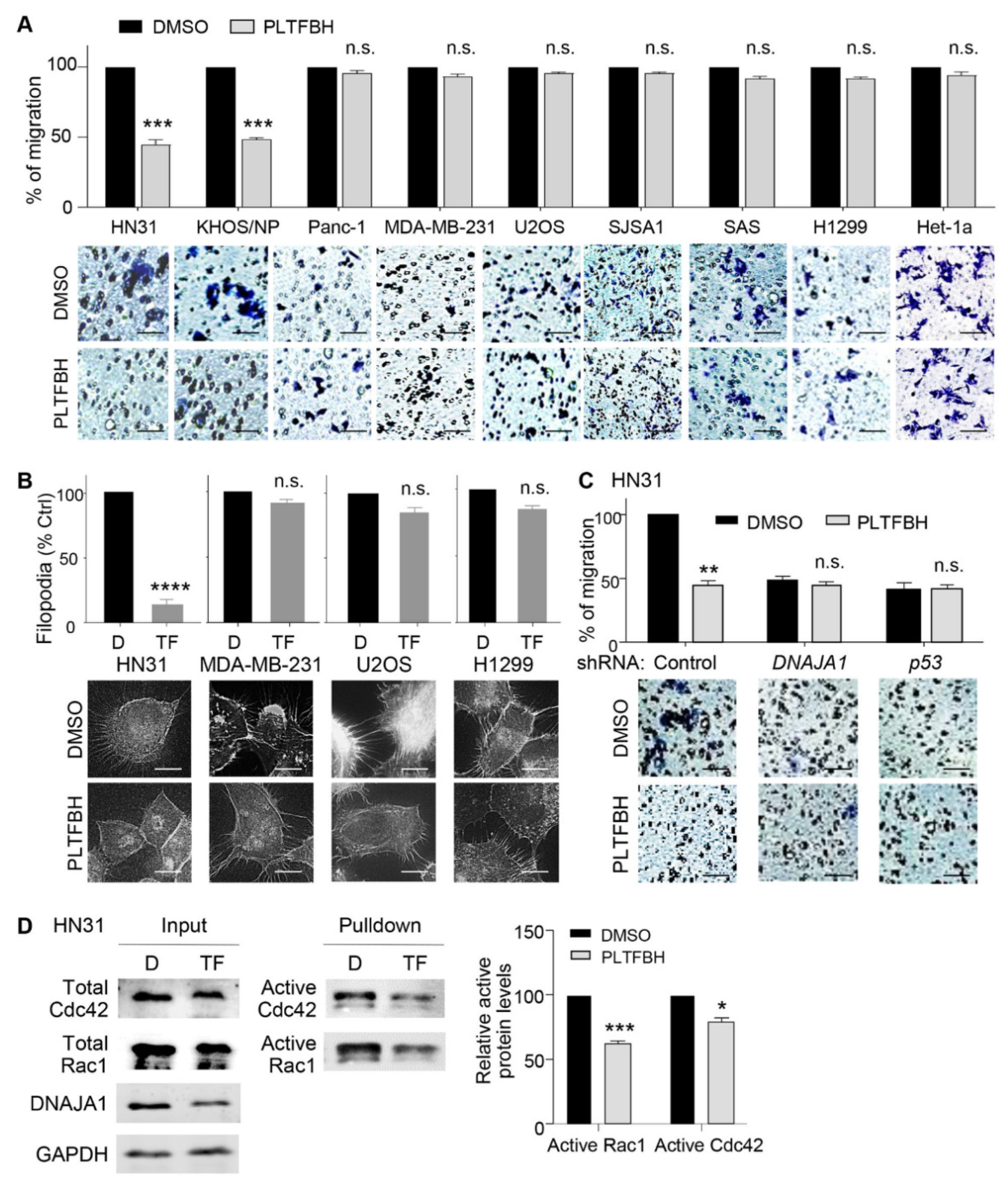 Cancers 14 04187 g004