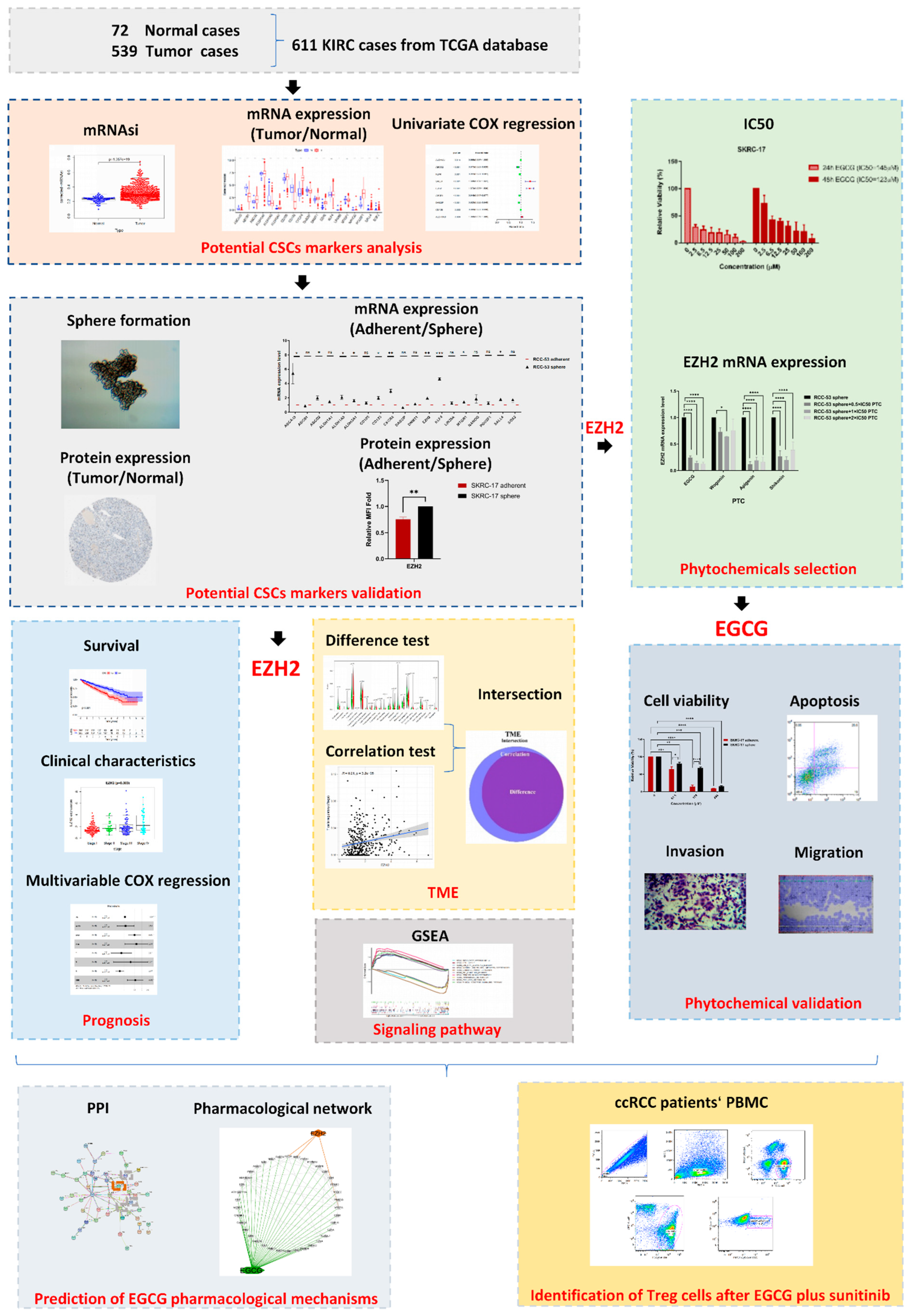 Cancers 14 04200 g001 Cancers 14 04200 g001