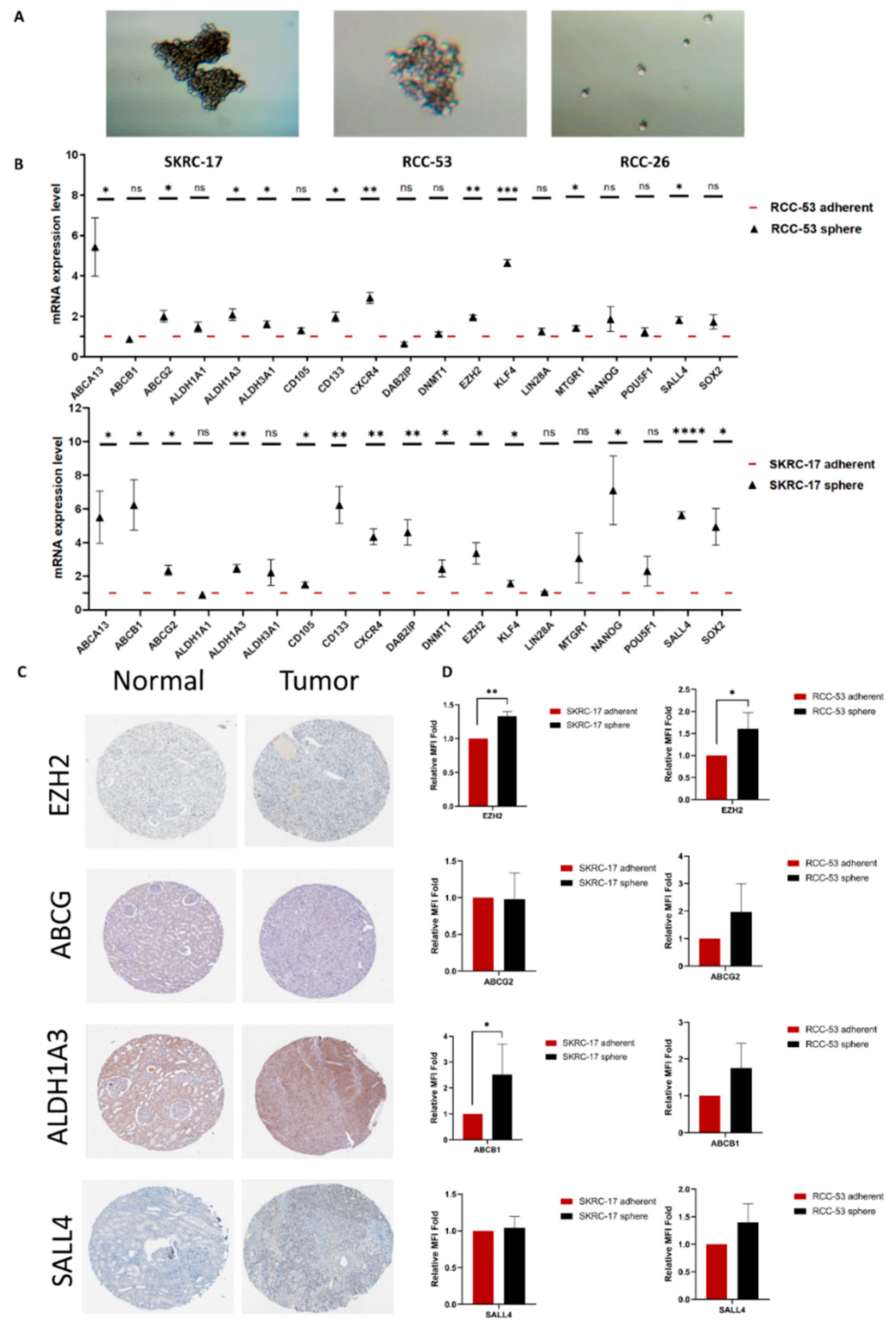 Cancers 14 04200 g003 Cancers 14 04200 g003