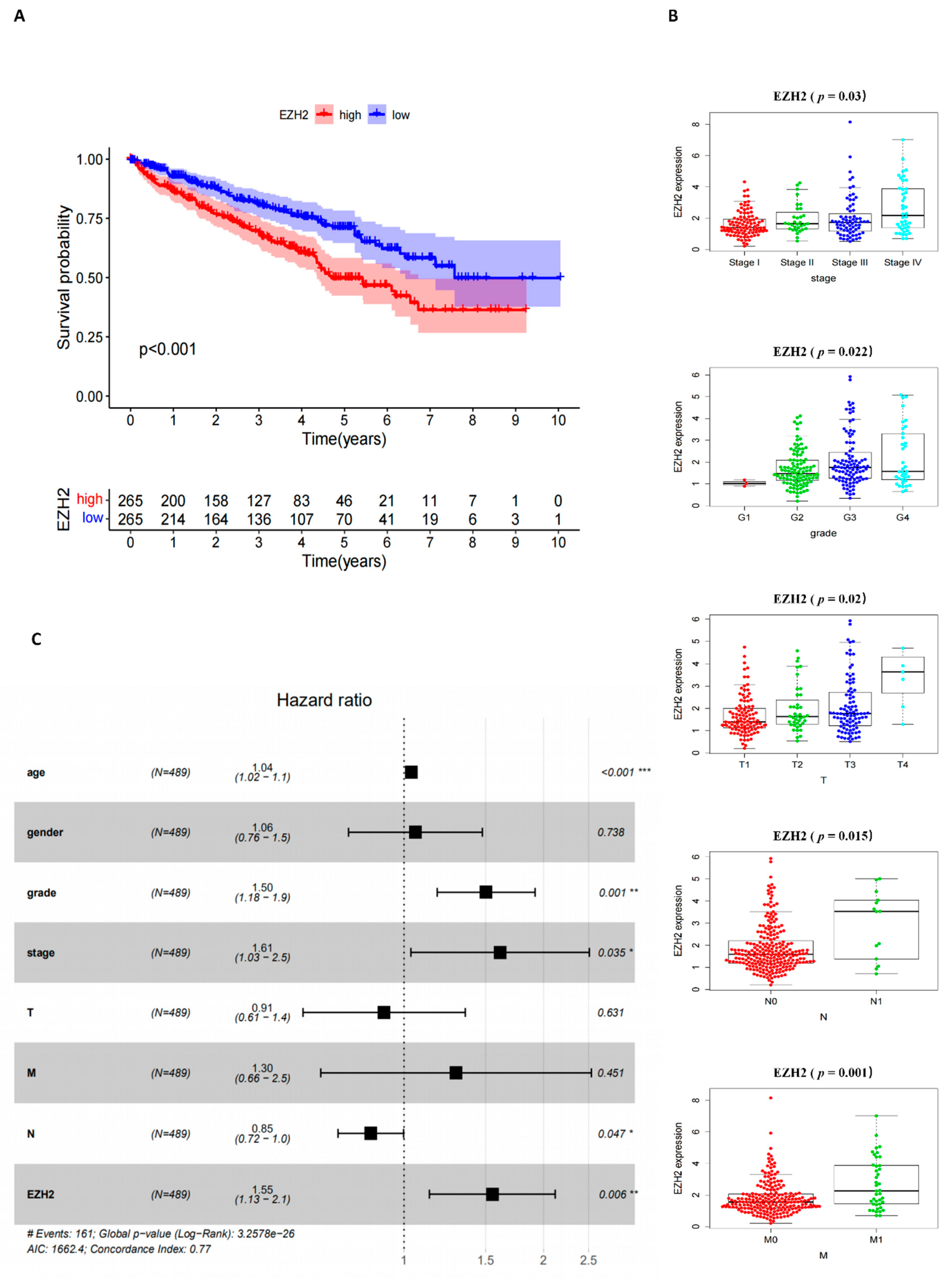 Cancers 14 04200 g004 Cancers 14 04200 g004