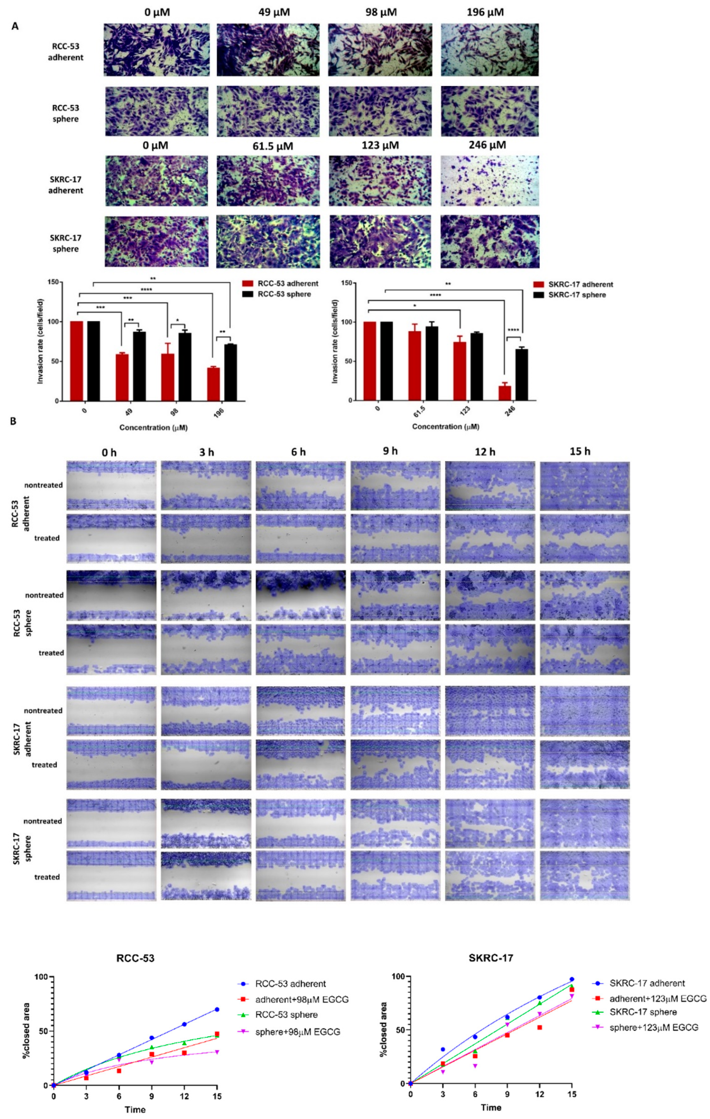 Cancers 14 04200 g009 Cancers 14 04200 g009