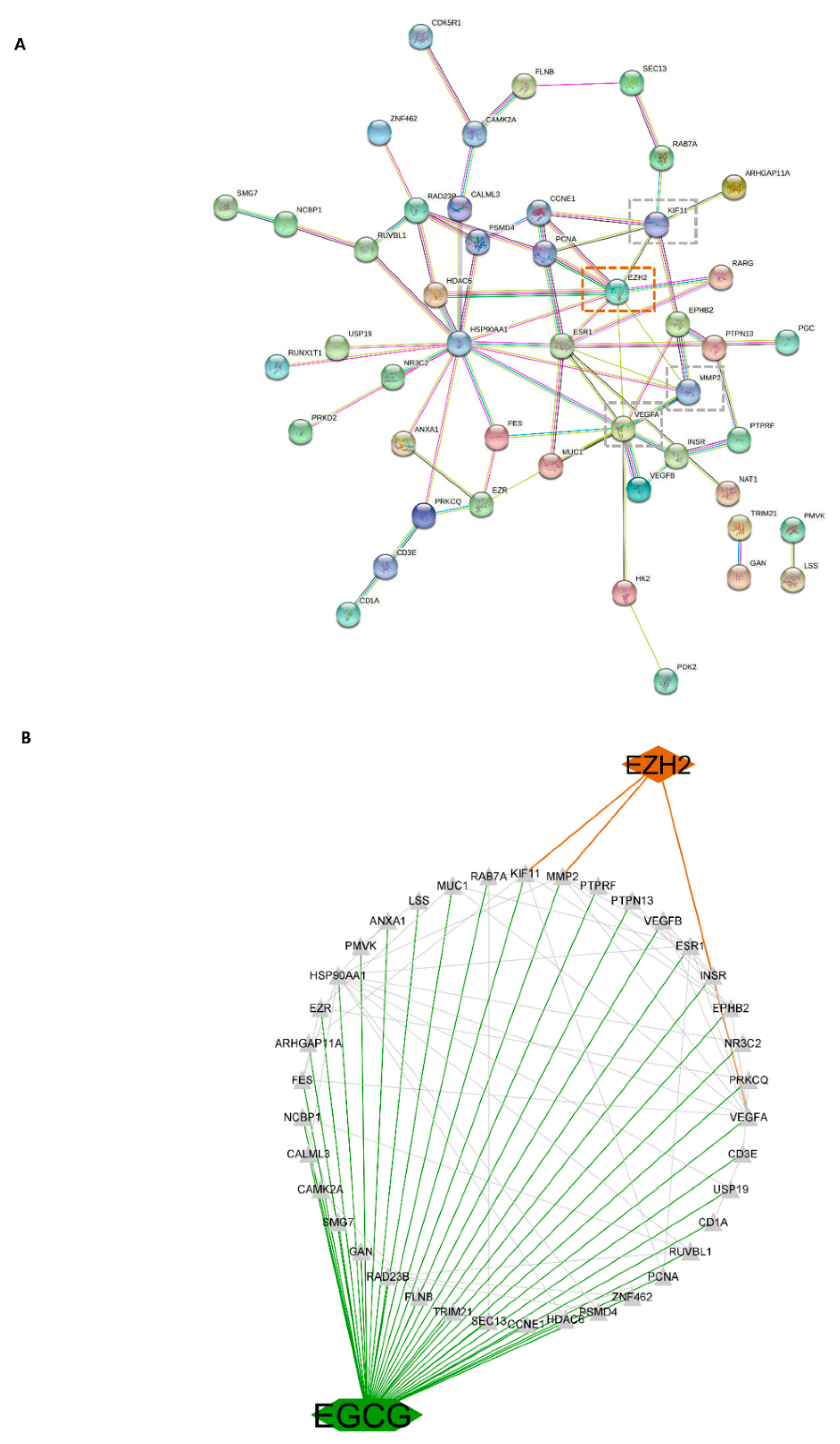 Cancers 14 04200 g010 Cancers 14 04200 g010