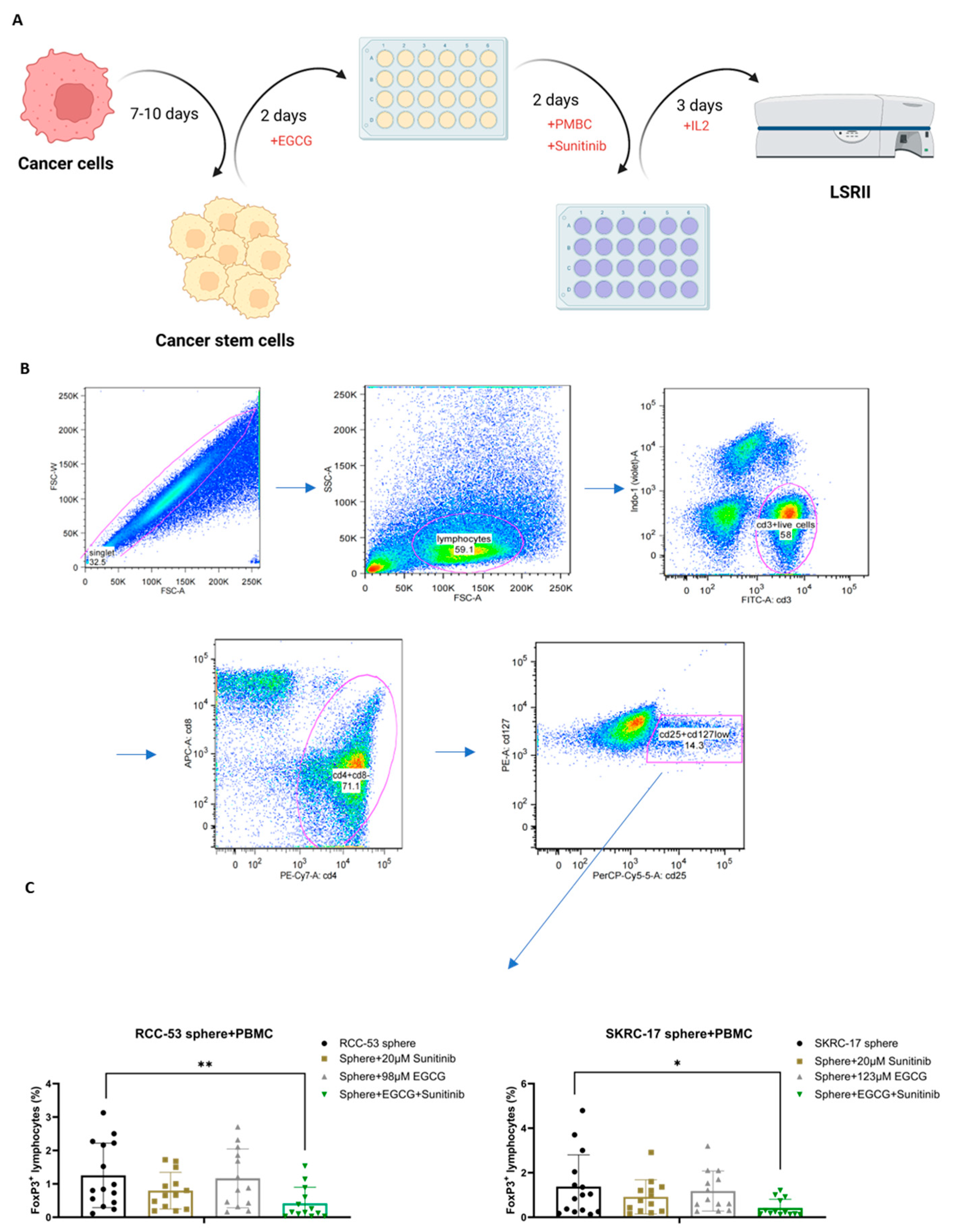 Cancers 14 04200 g011 Cancers 14 04200 g011