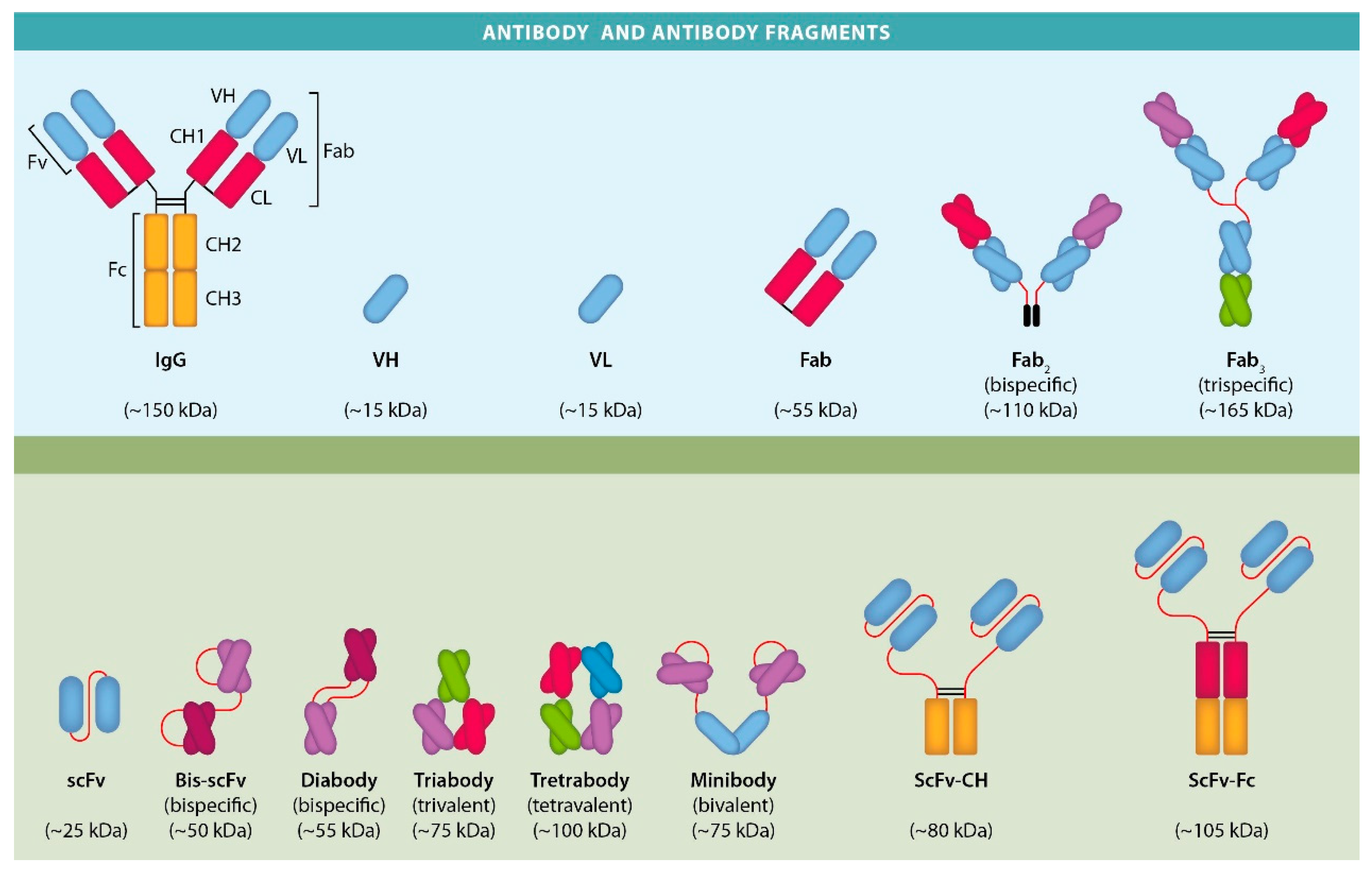 Cancers 14 04206 g001