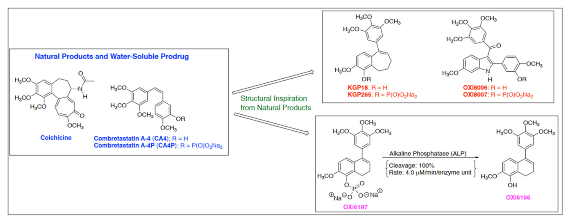 Cancers 14 04208 g001