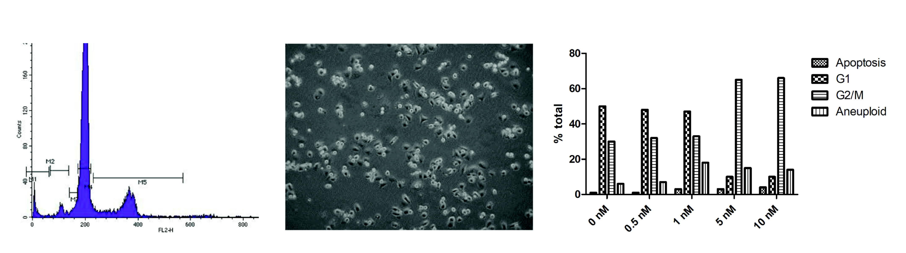 Cancers 14 04208 g002