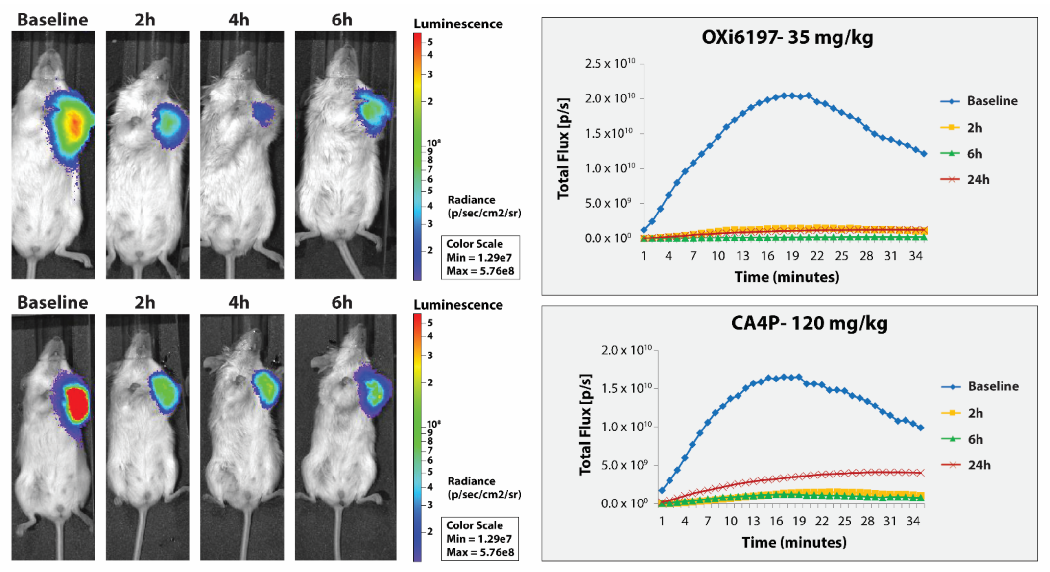 Cancers 14 04208 g005