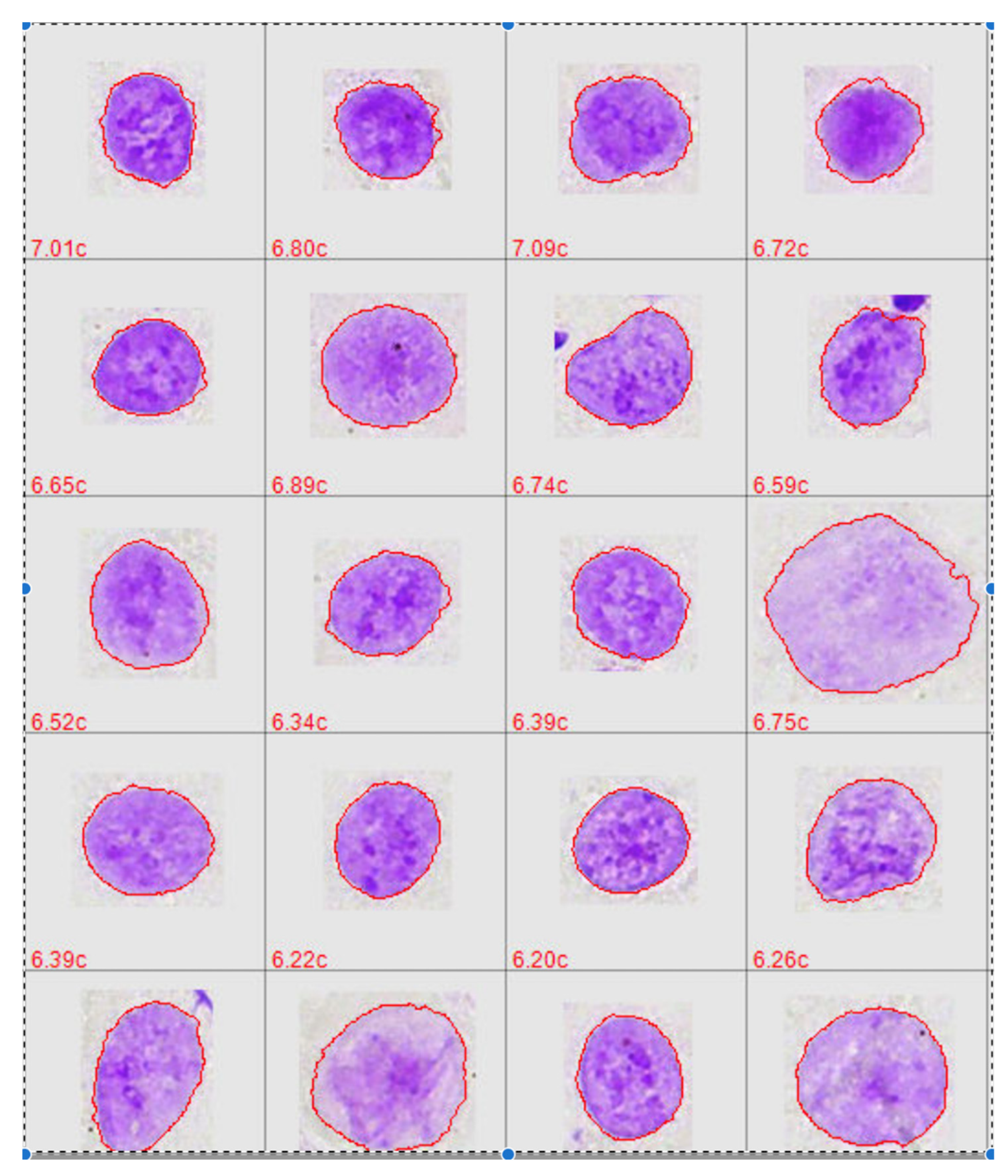 Cancers 14 04210 g001 Cancers 14 04210 g001