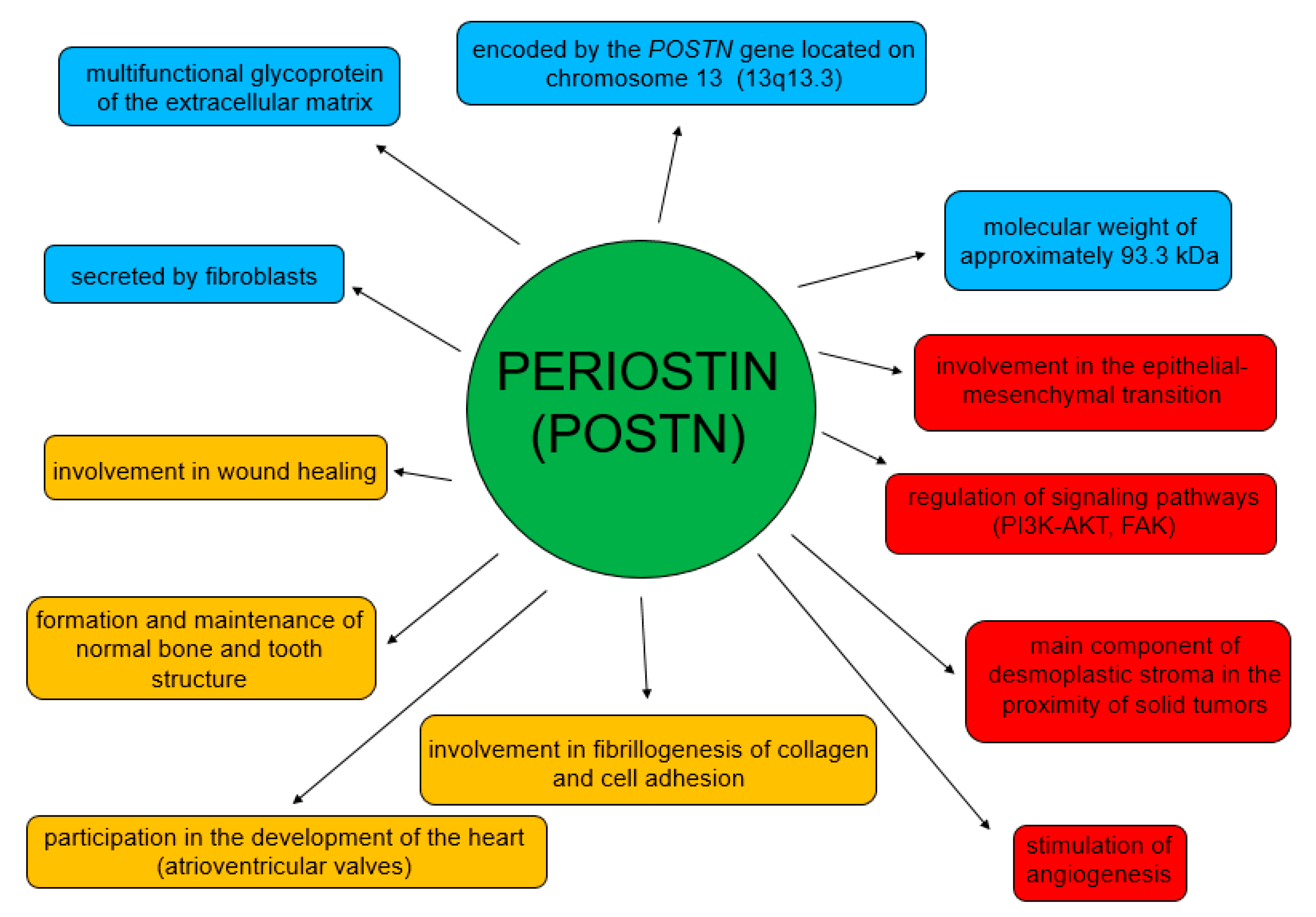 Cancers 14 04225 g003 Cancers 14 04225 g003