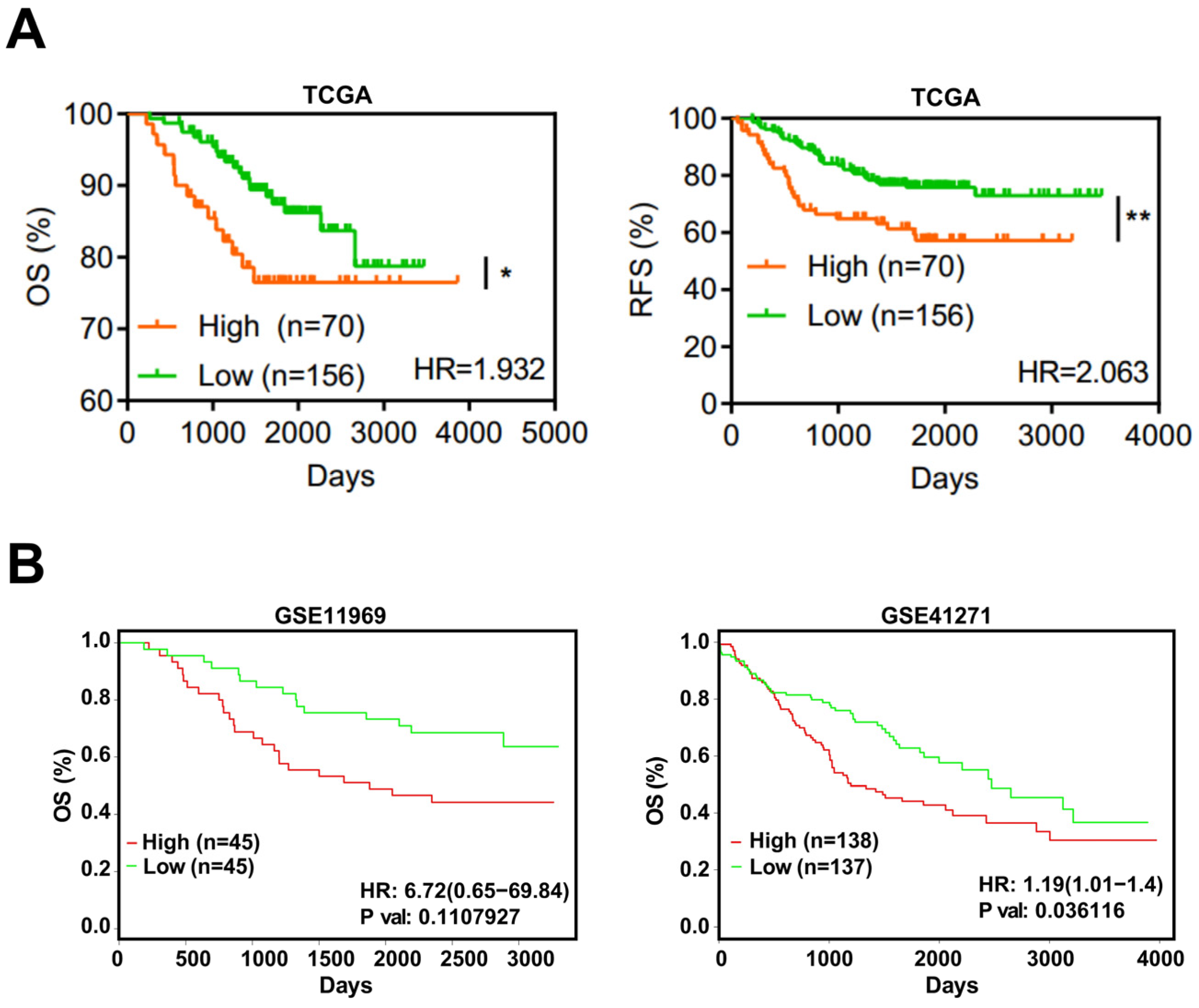 Cancers 14 04226 g004