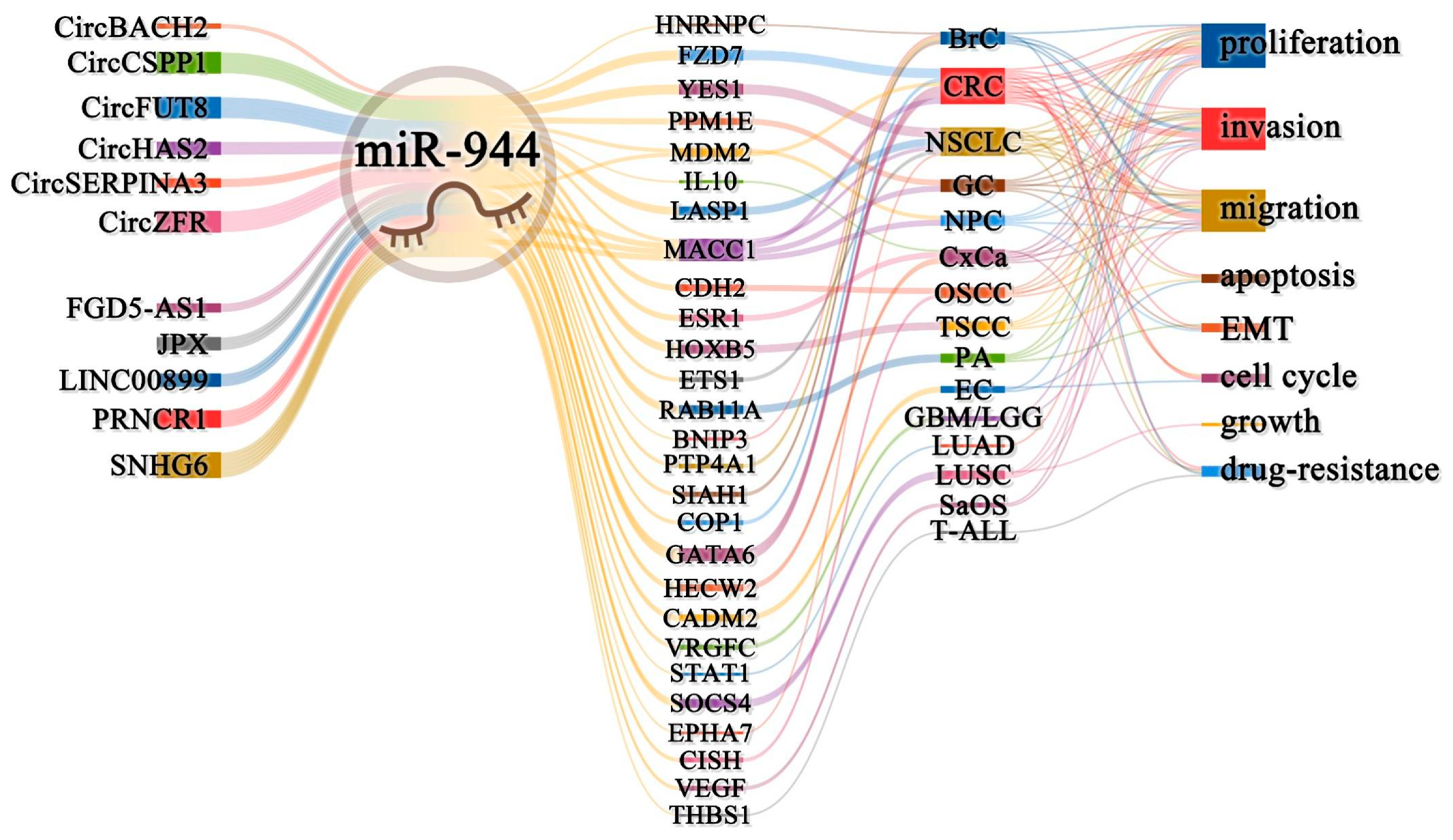 Cancers 14 04232 g004