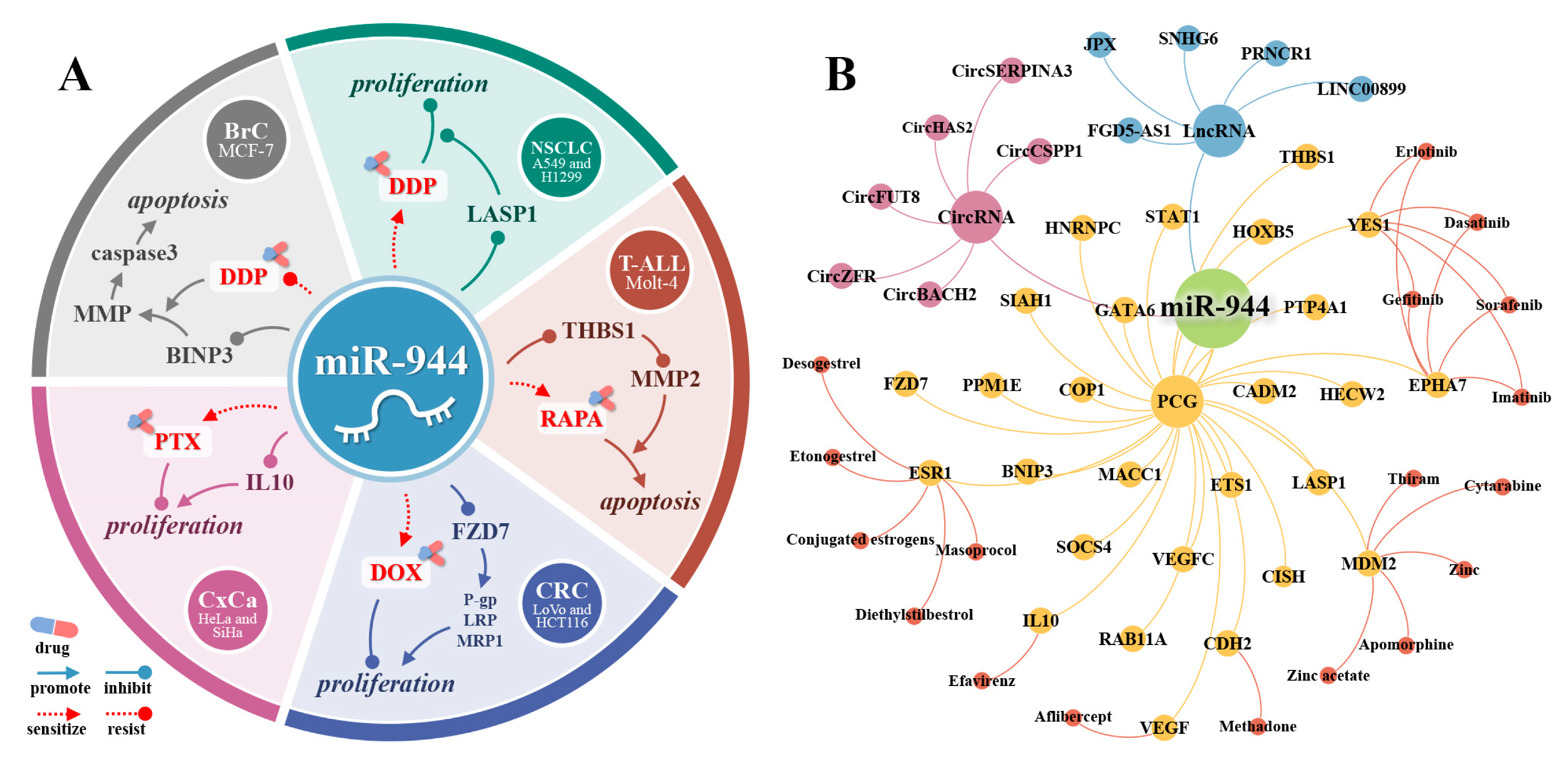 Cancers 14 04232 g007
