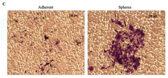 Cancers 14 04242 f003 550