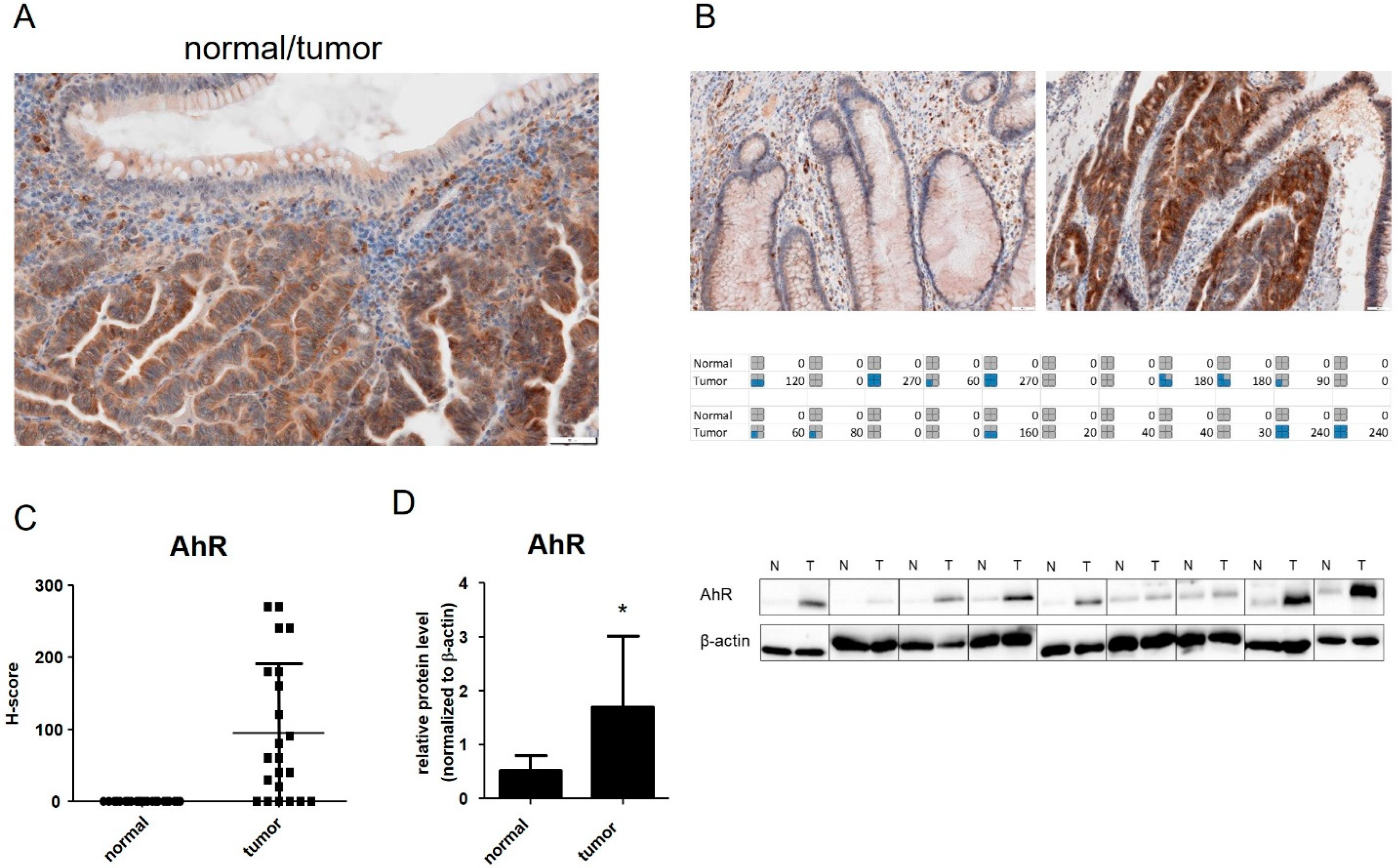 Cancers 14 04245 g001