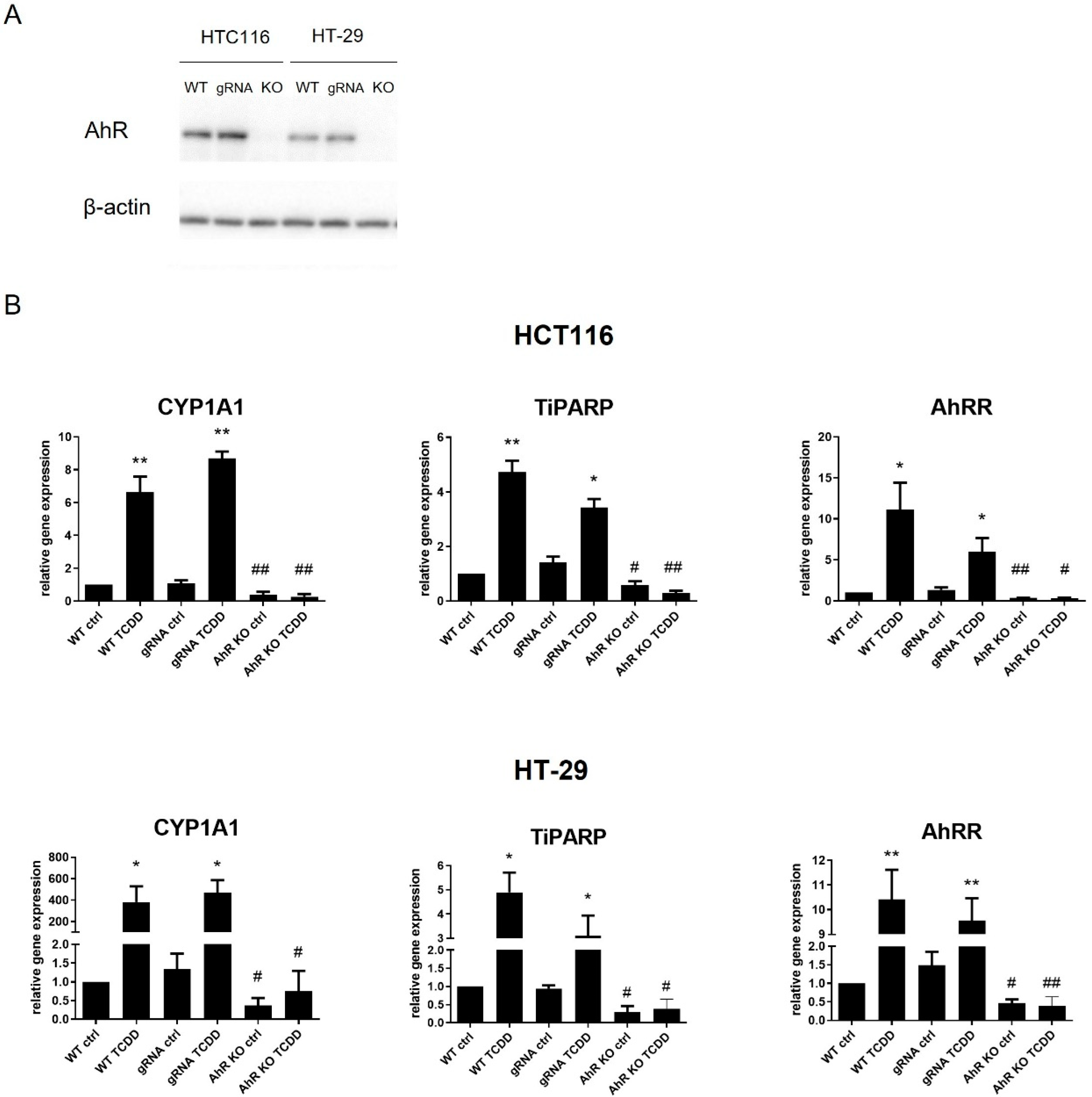 Cancers 14 04245 g002