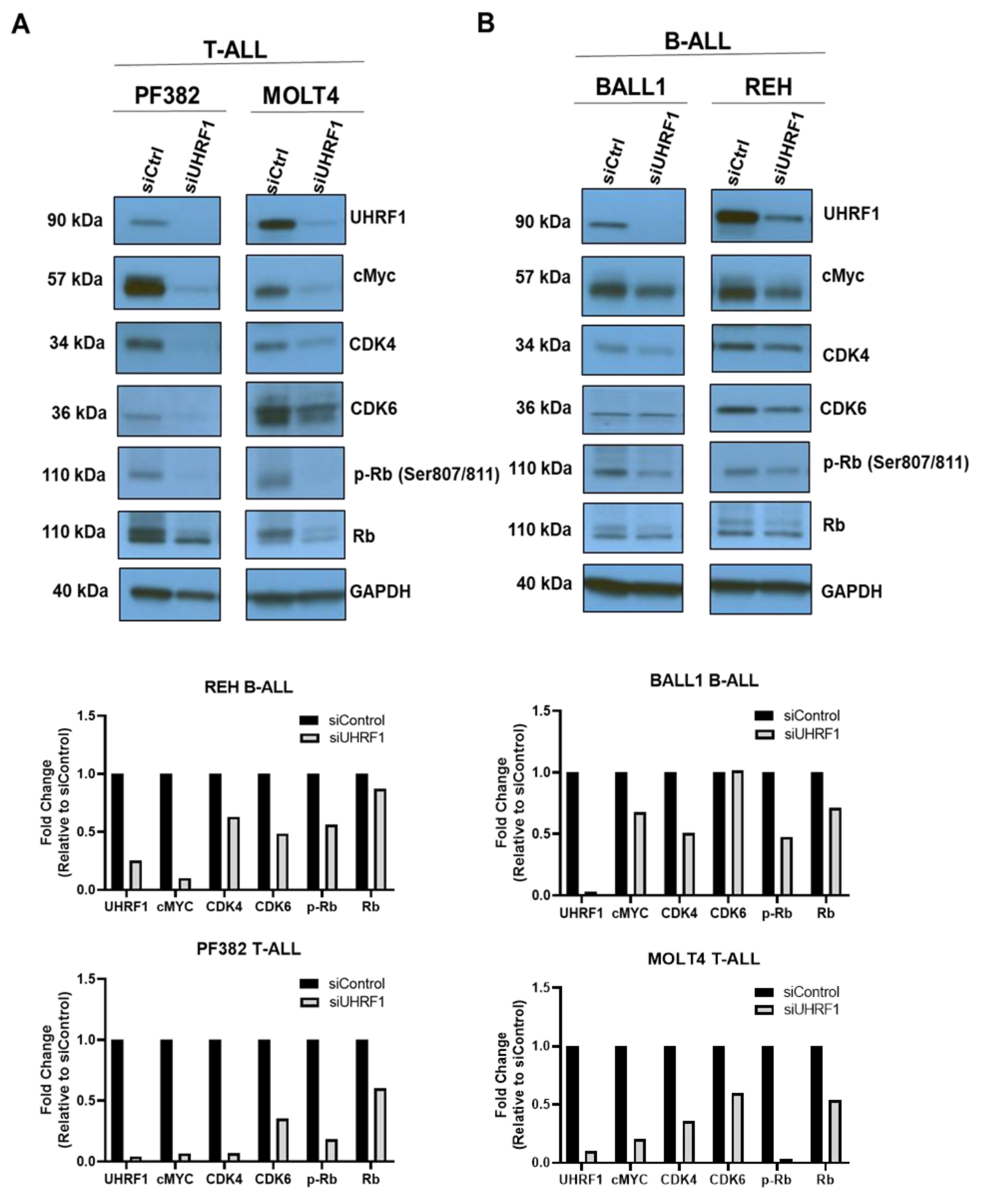Cancers 14 04262 g003