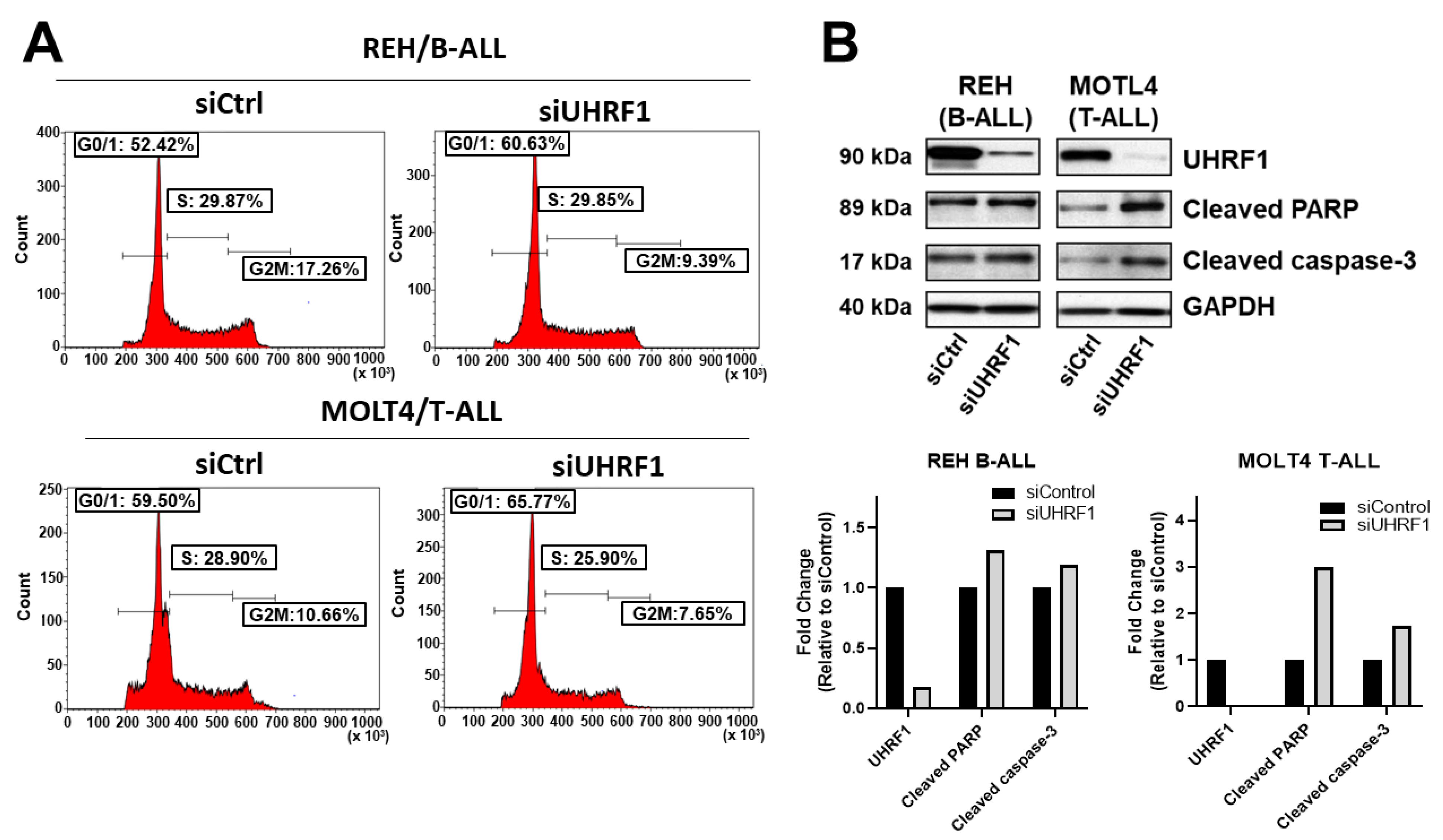 Cancers 14 04262 g004