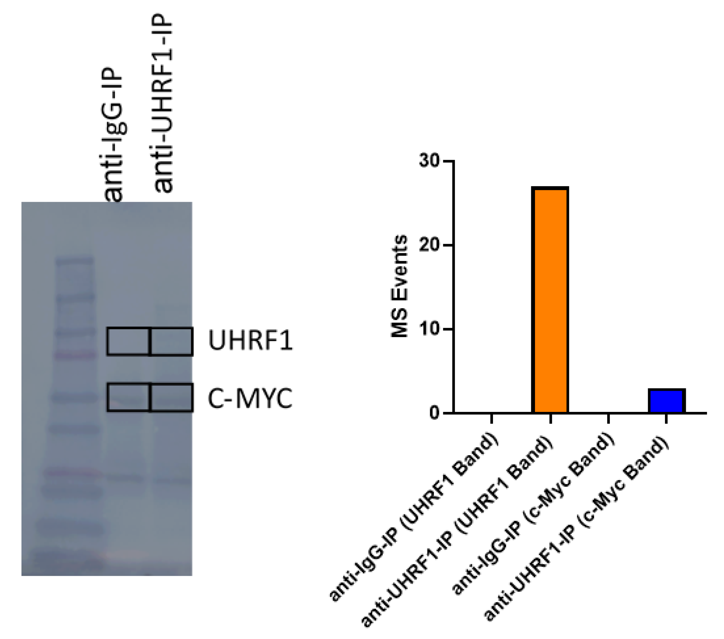 Cancers 14 04262 g0a4