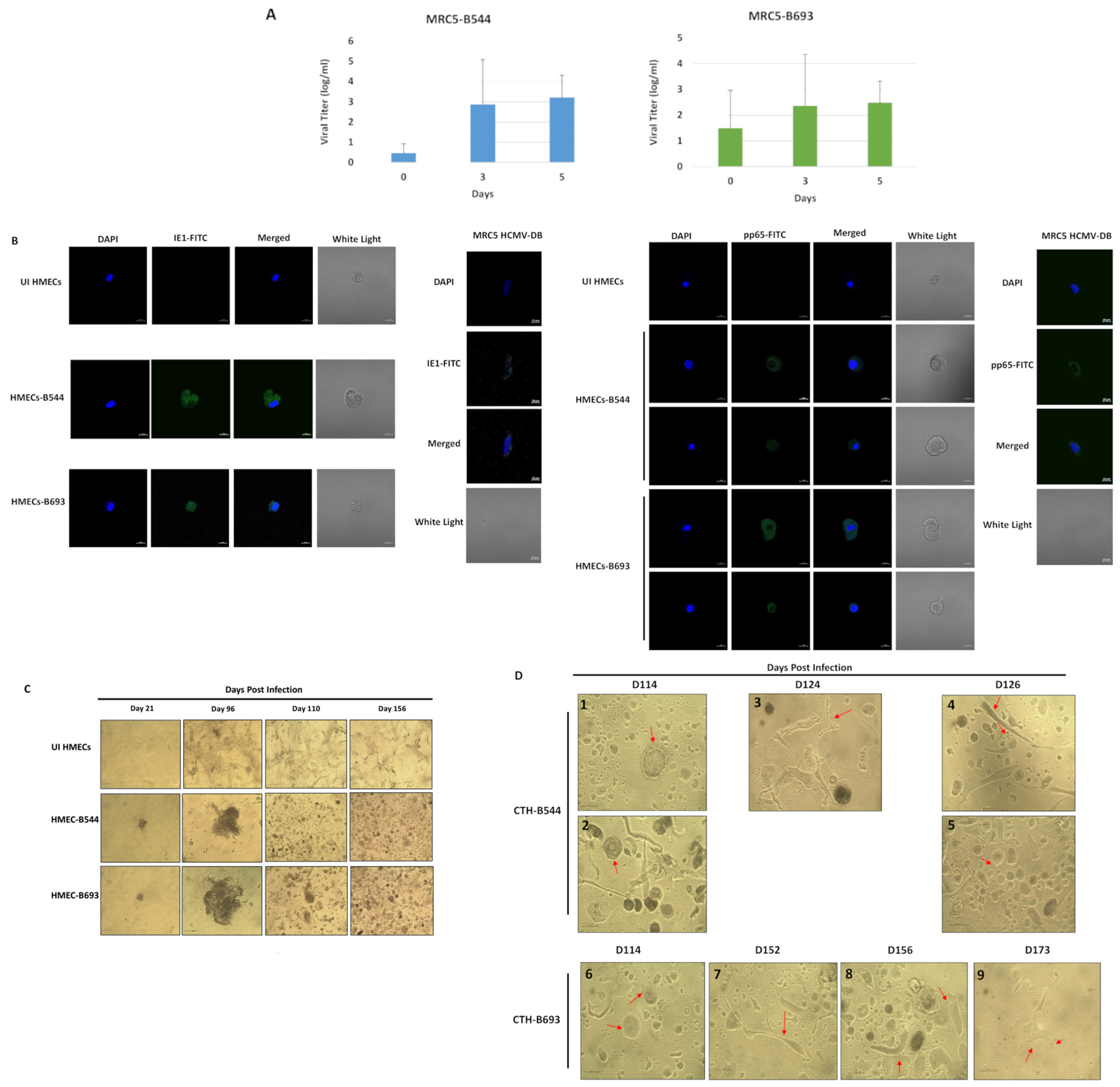 Cancers 14 04271 g001