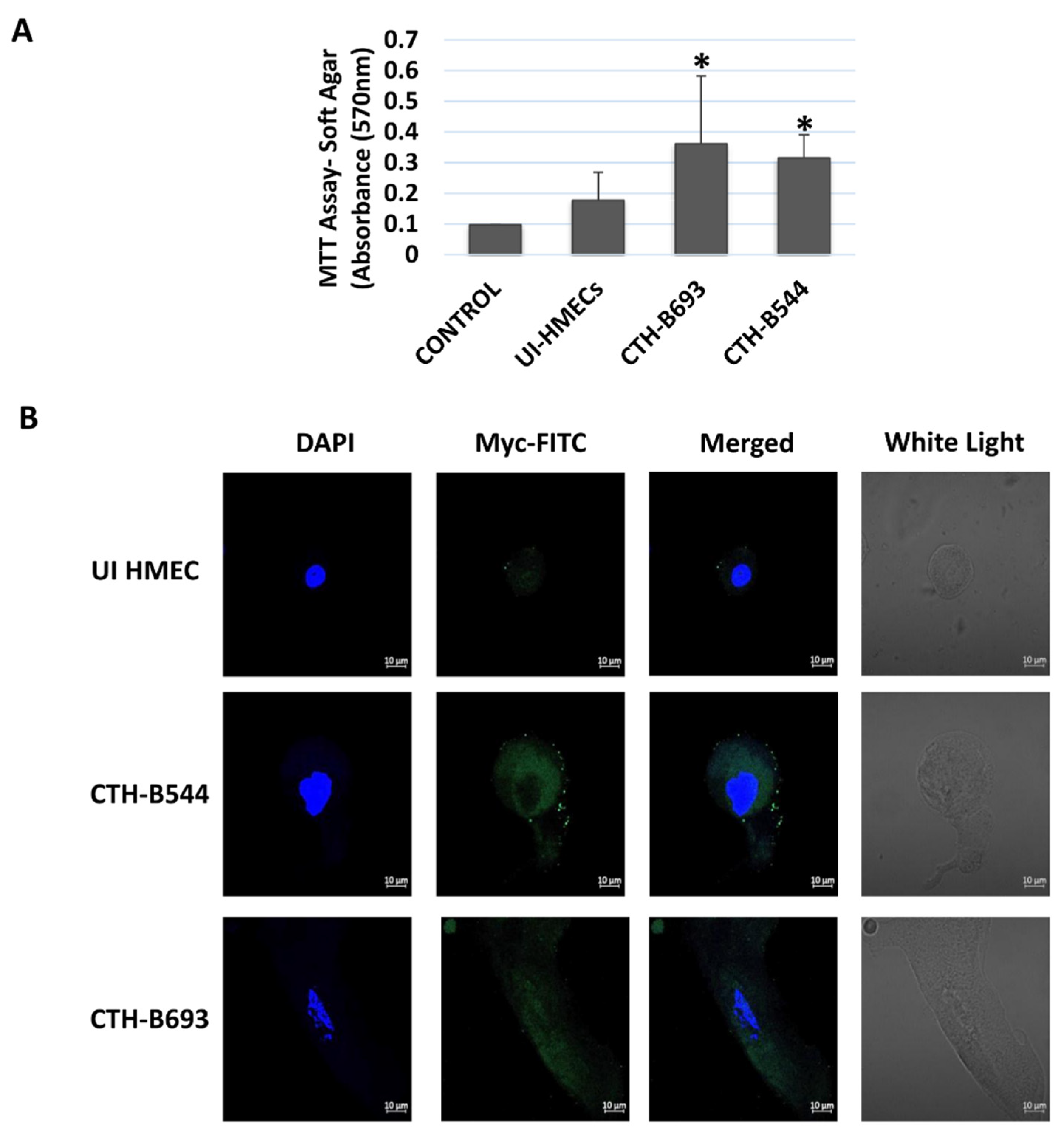 Cancers 14 04271 g002