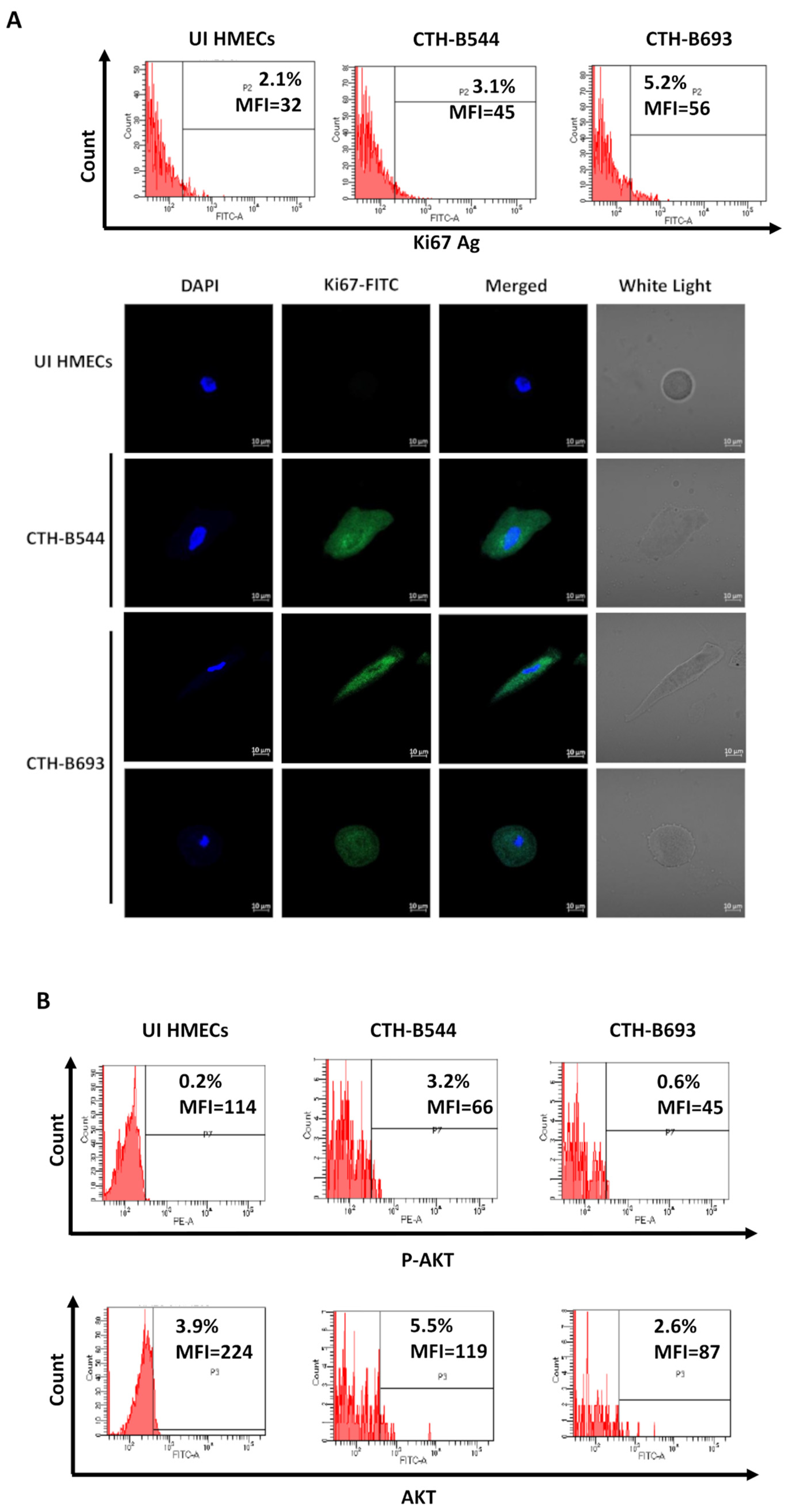 Cancers 14 04271 g003