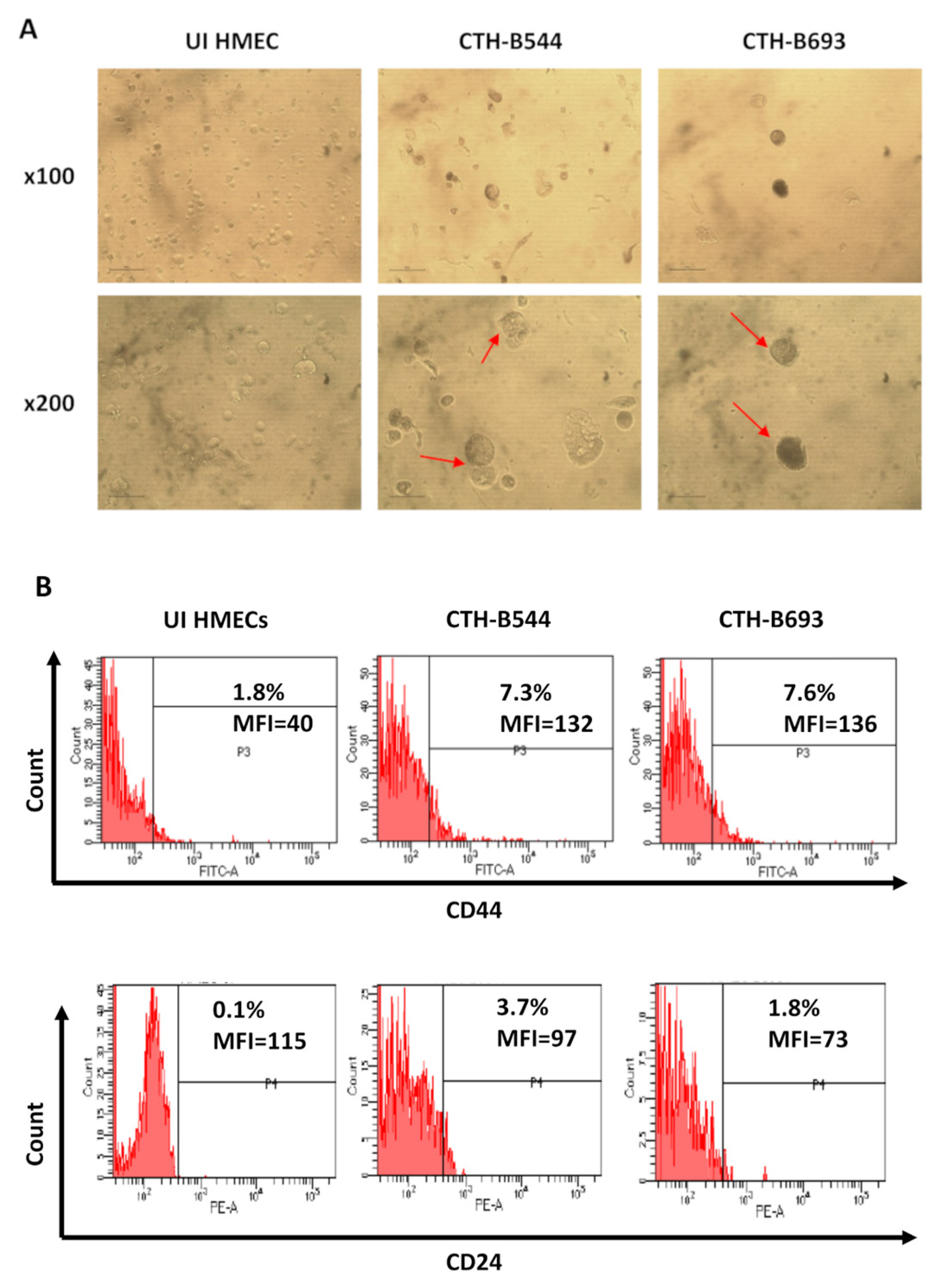 Cancers 14 04271 g004
