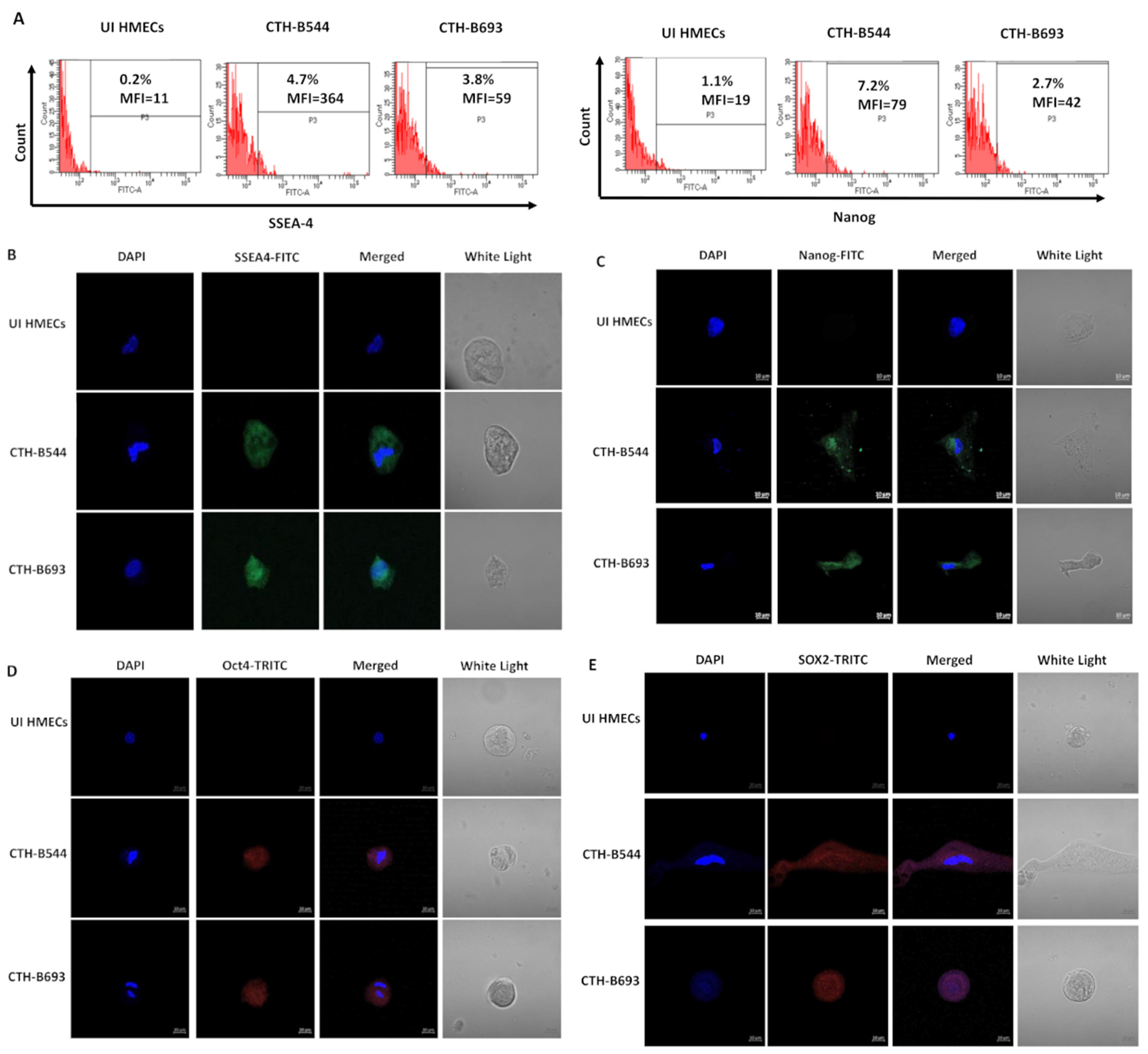 Cancers 14 04271 g005