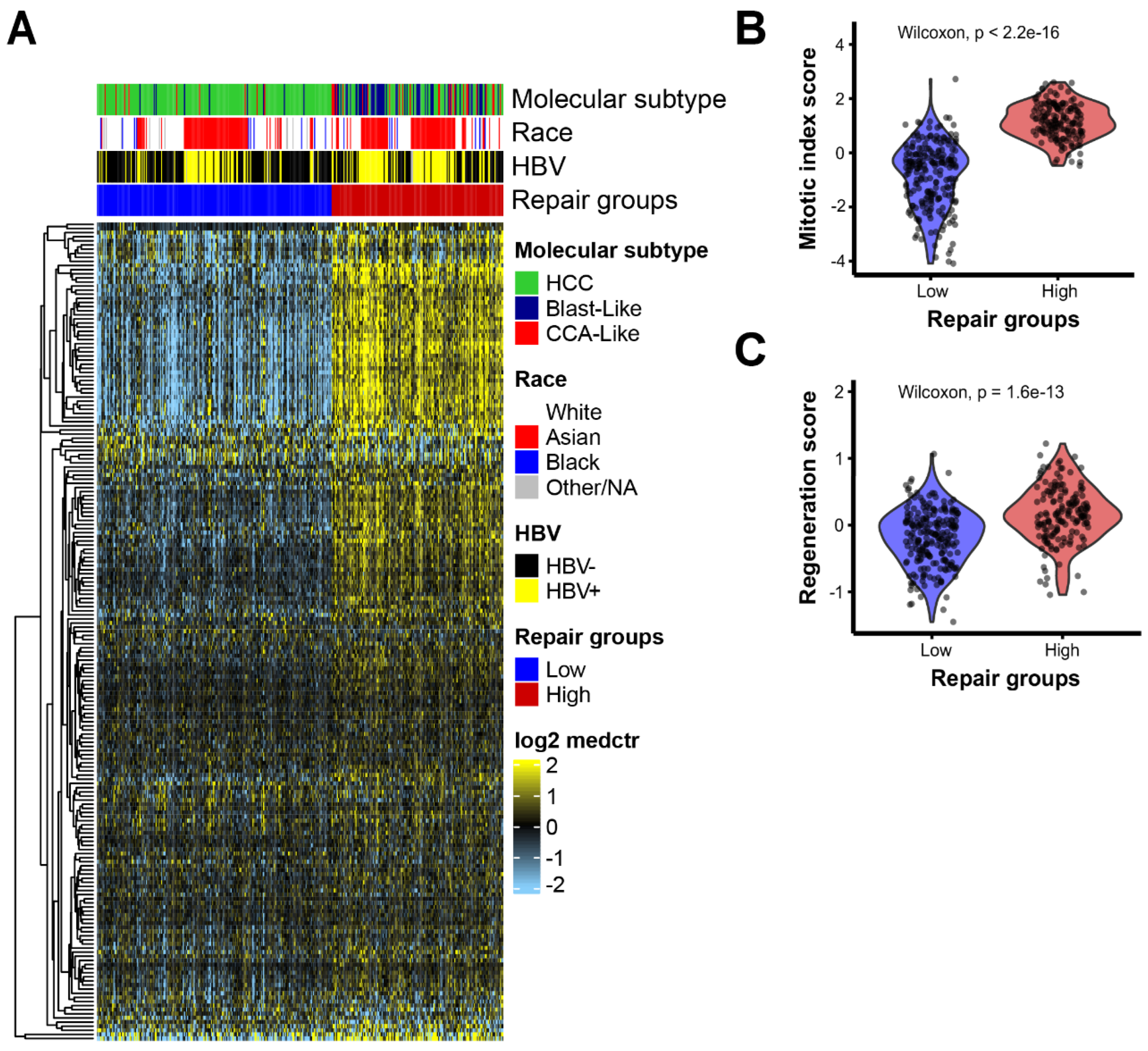 Cancers 14 04282 g001