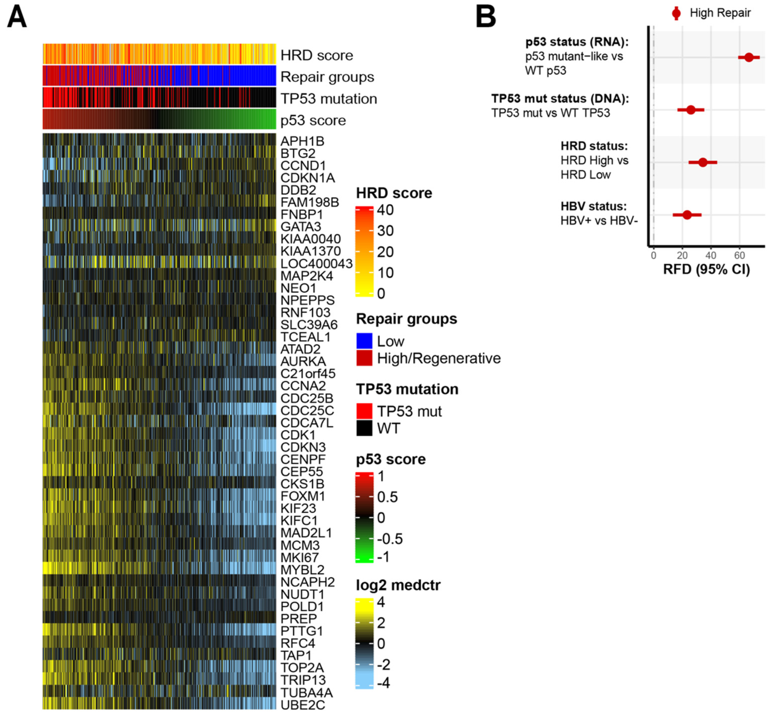 Cancers 14 04282 g002