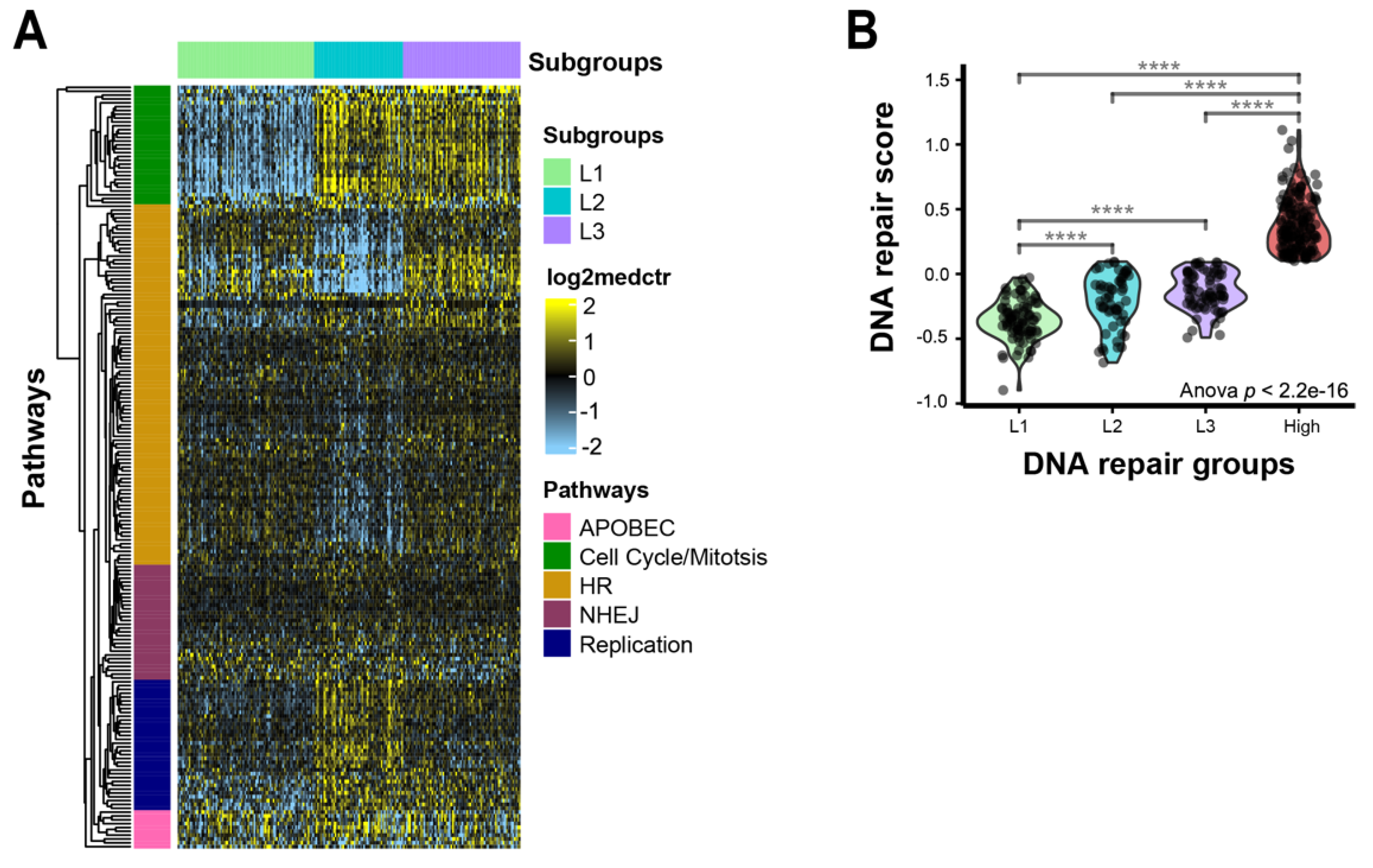 Cancers 14 04282 g003