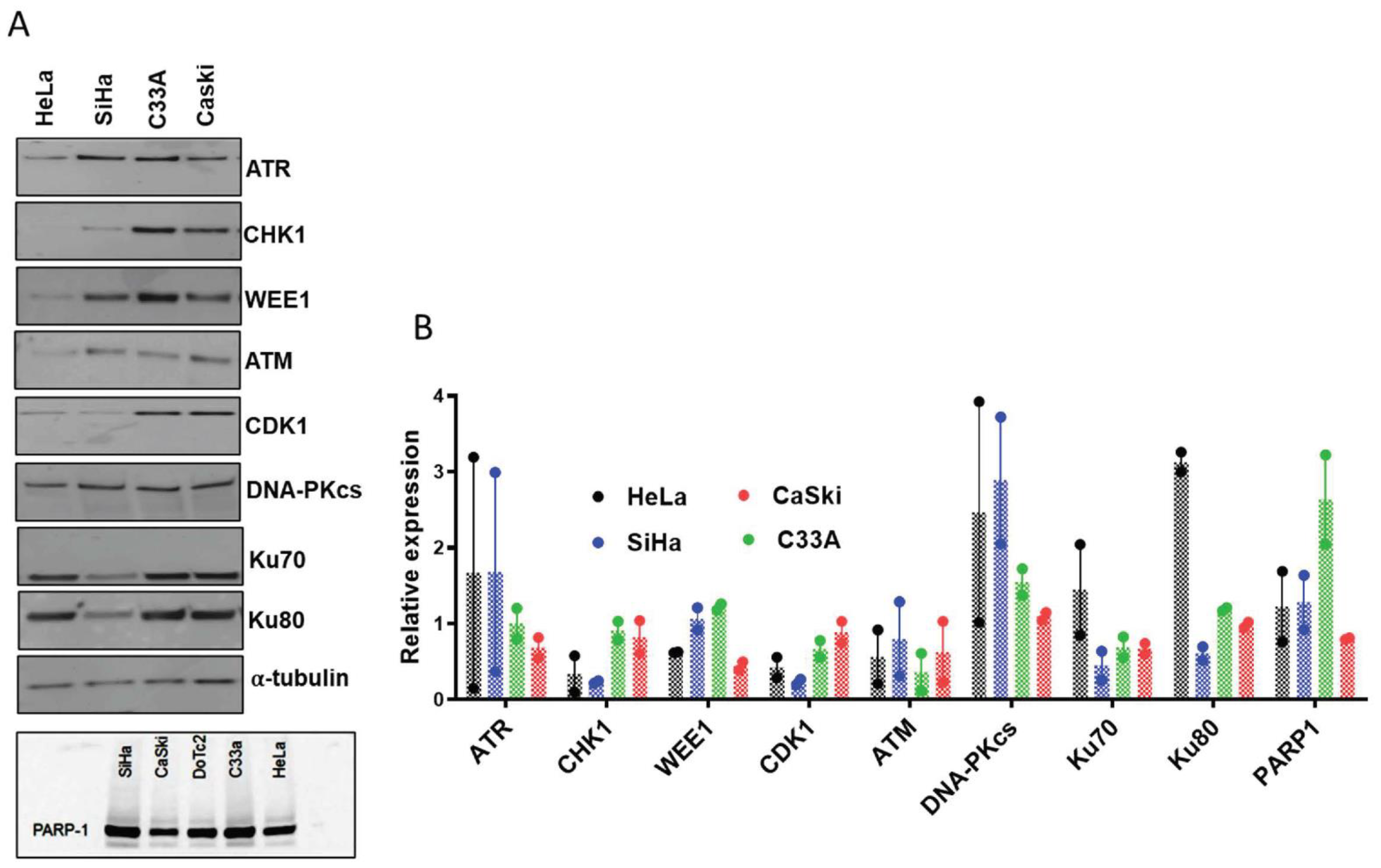 Cancers 14 04288 g001