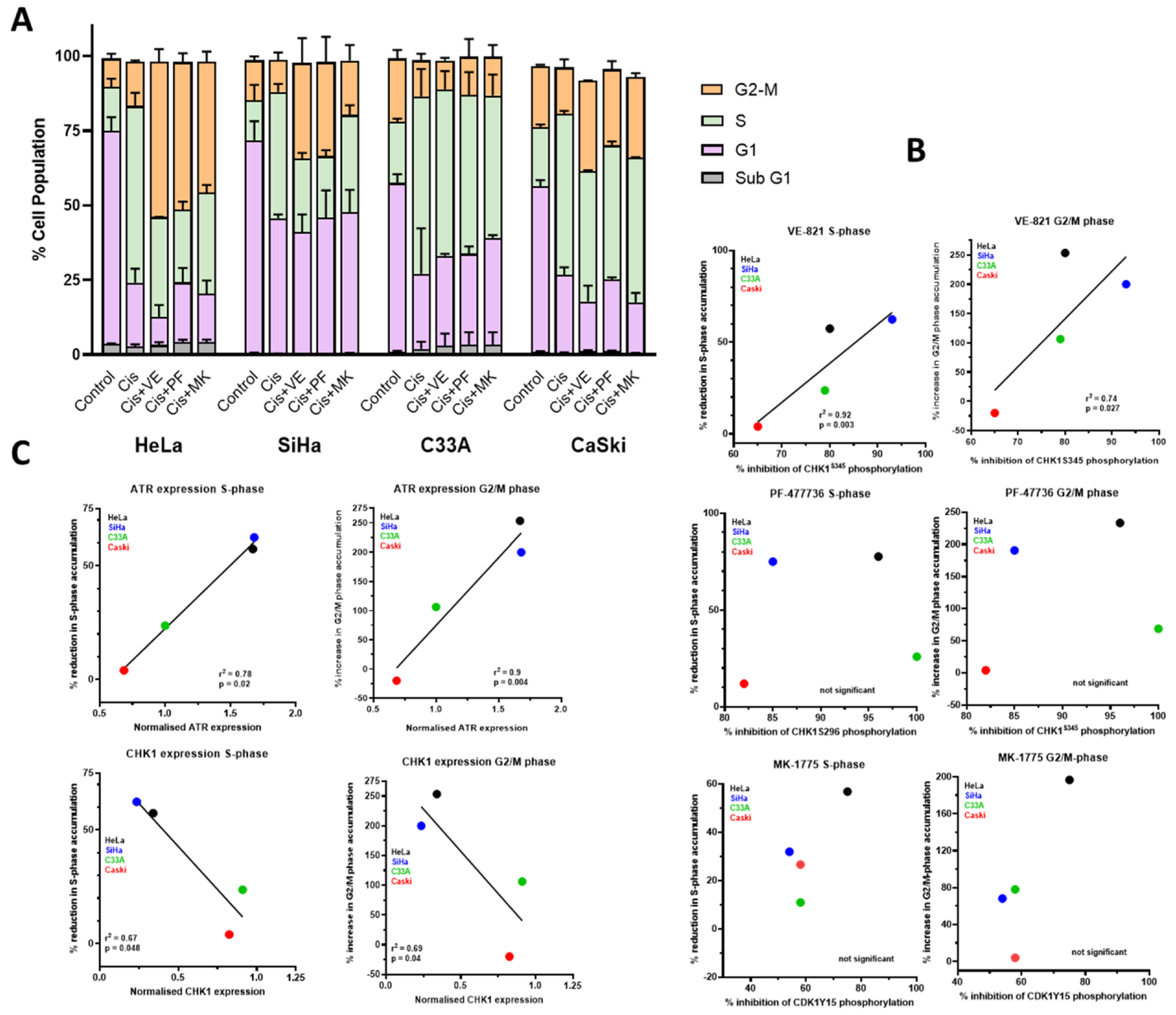 Cancers 14 04288 g004