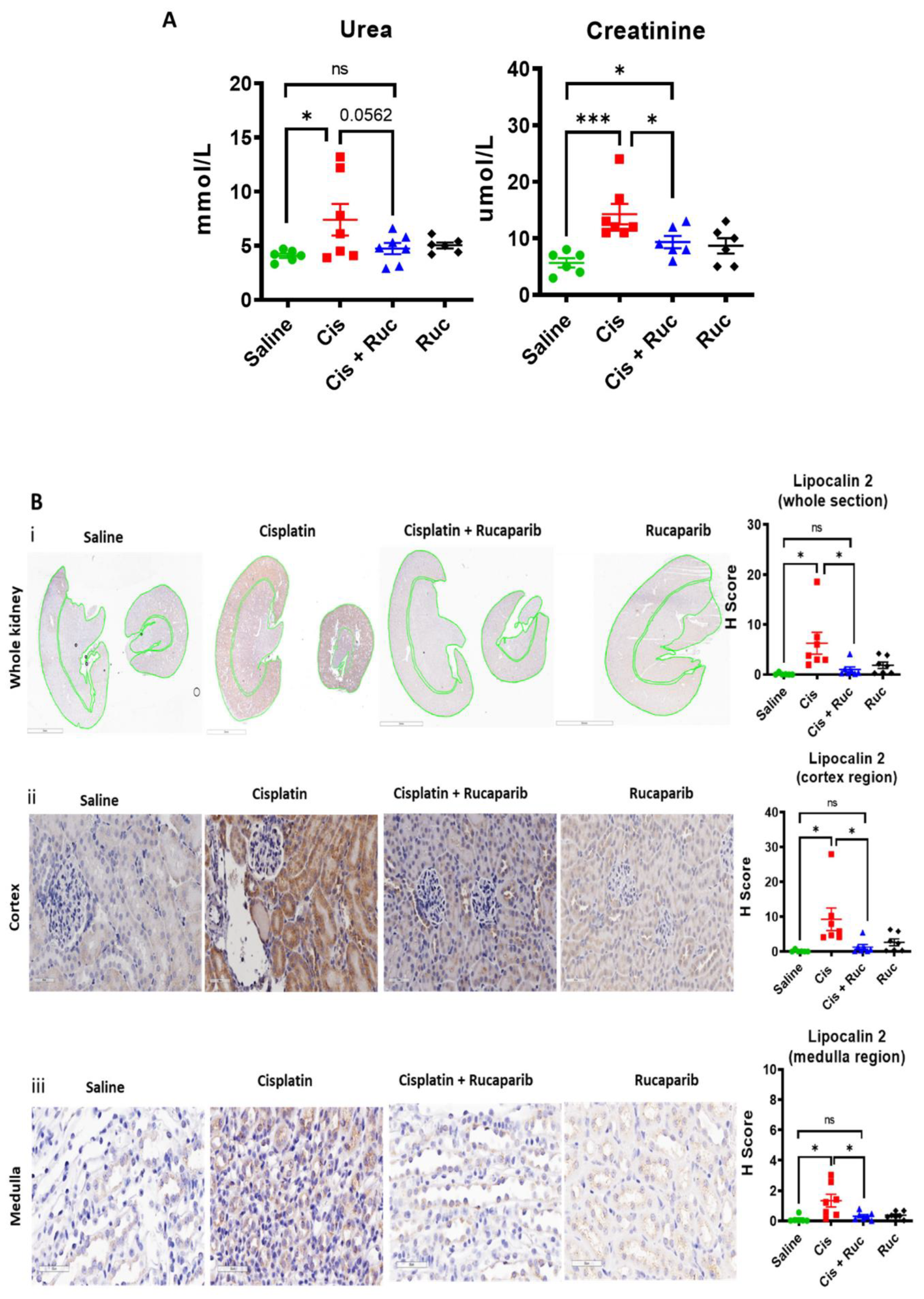 Cancers 14 04288 g005a