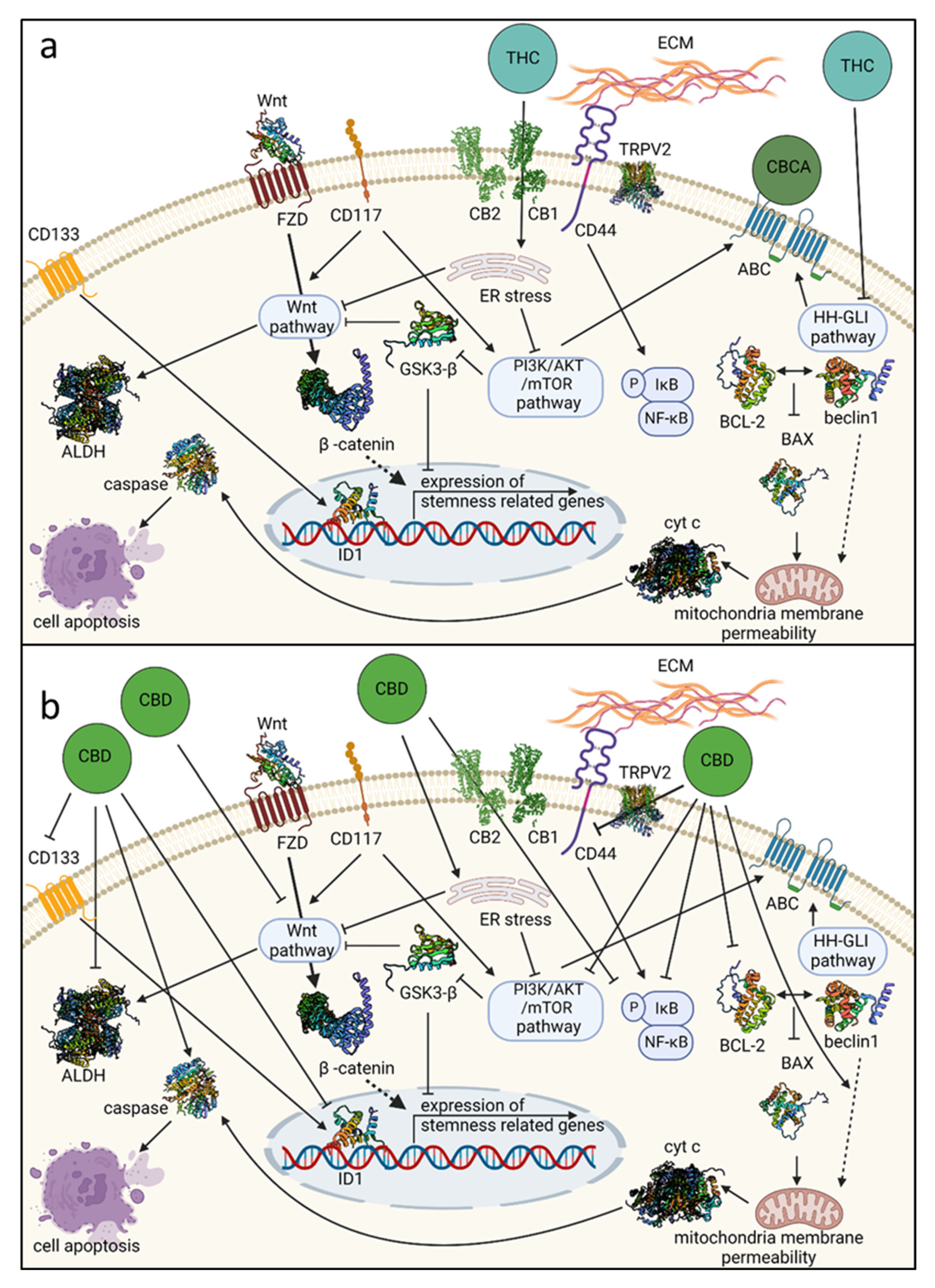 Cancers 14 04299 g001