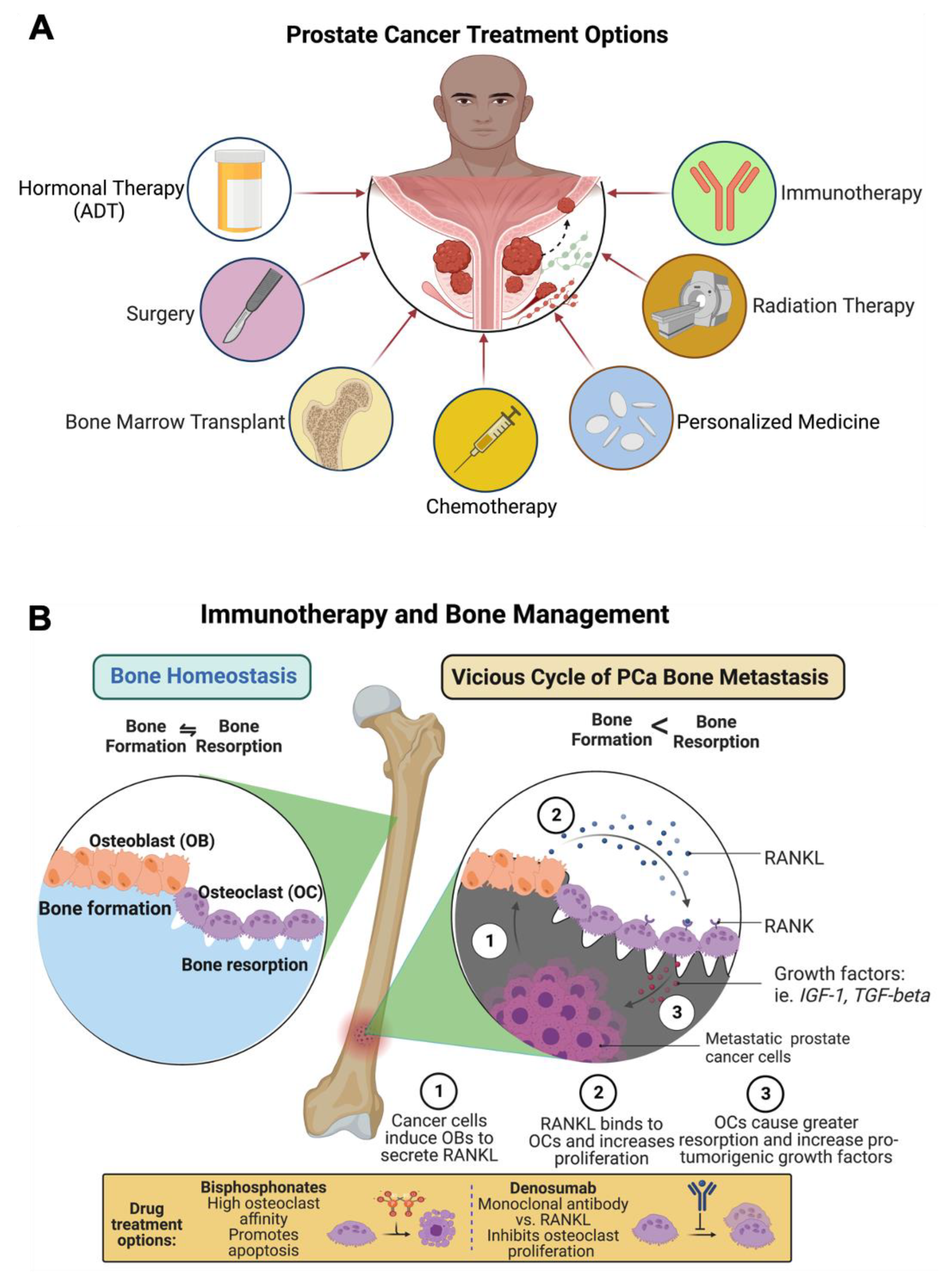 Cancers 14 04305 g004 Cancers 14 04305 g004