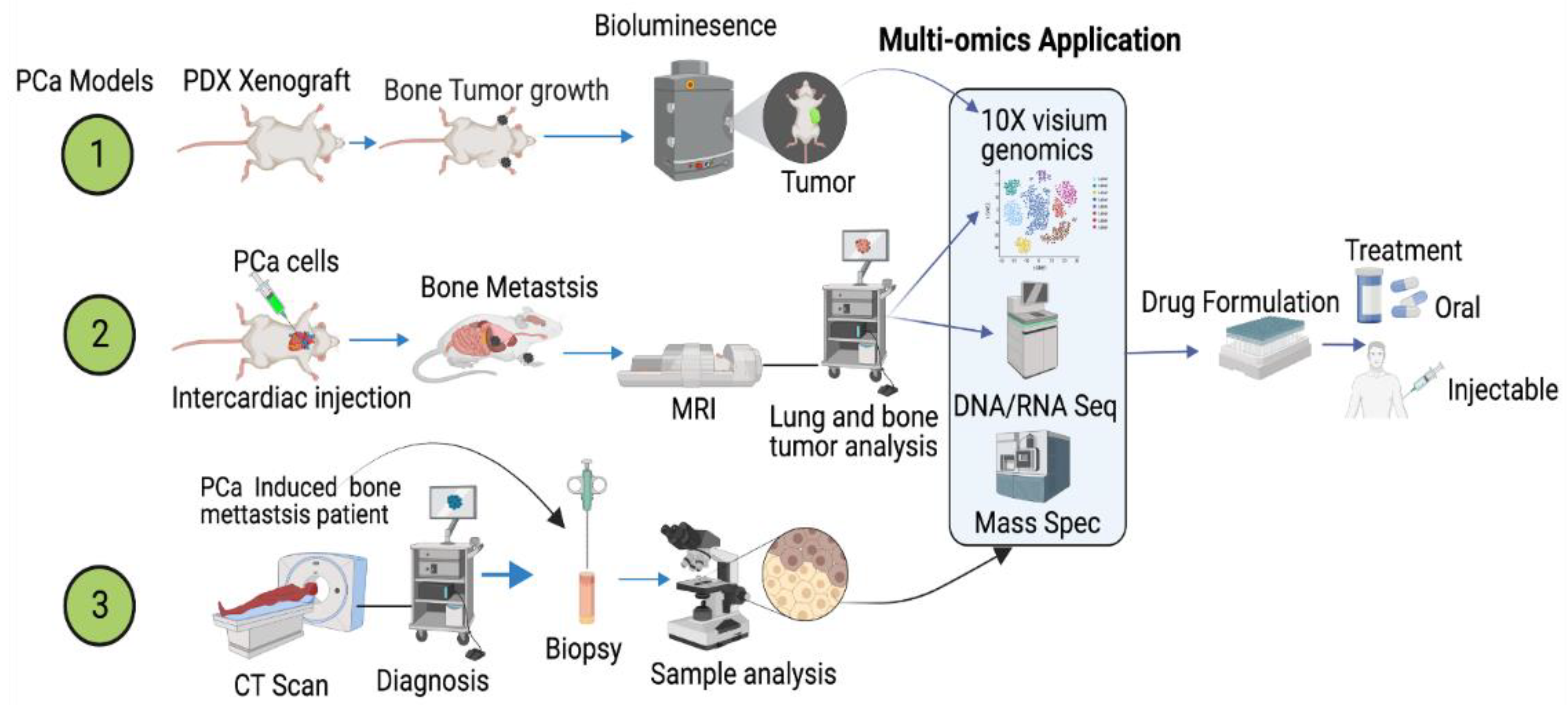 Cancers 14 04305 g006 Cancers 14 04305 g006