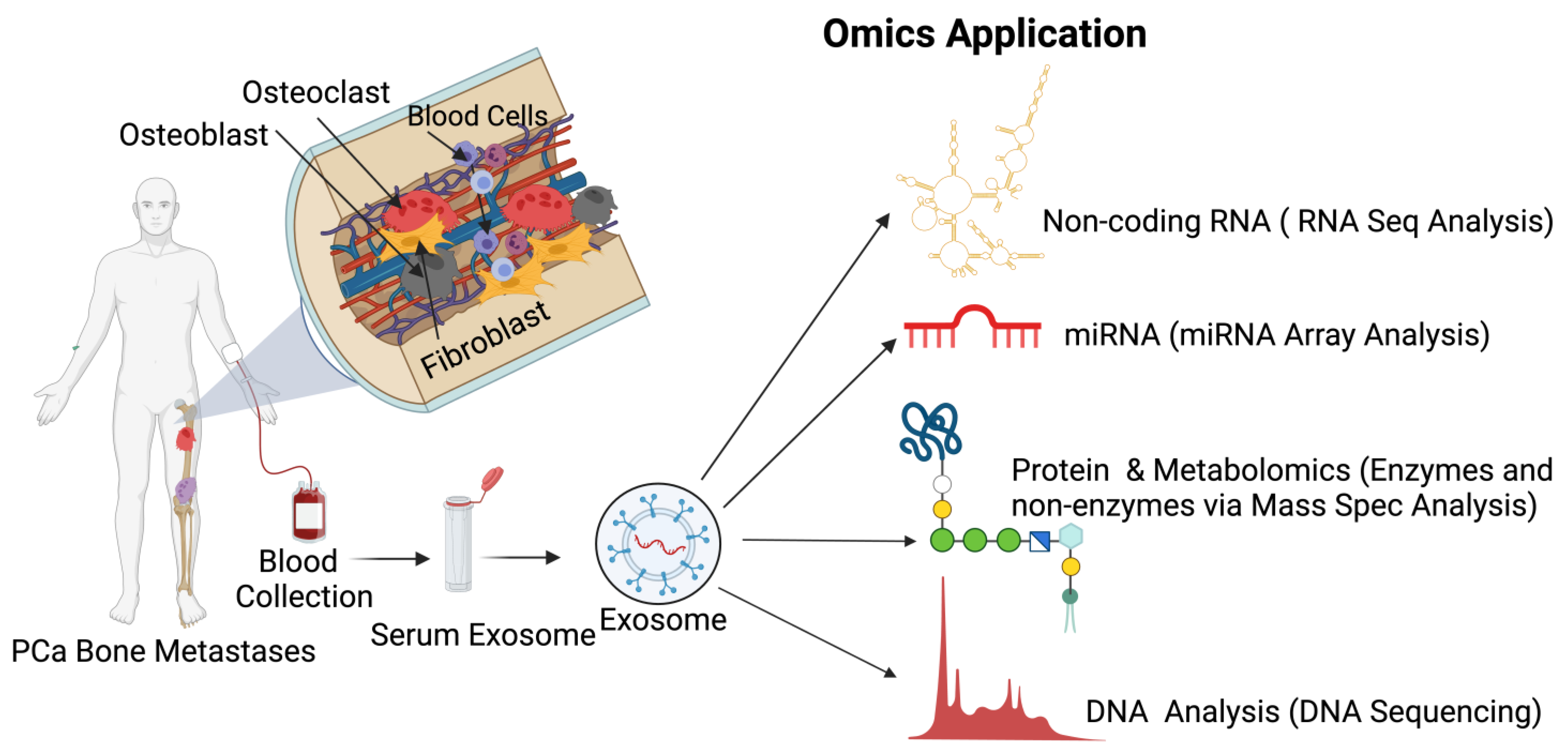 Cancers 14 04305 g007 Cancers 14 04305 g007
